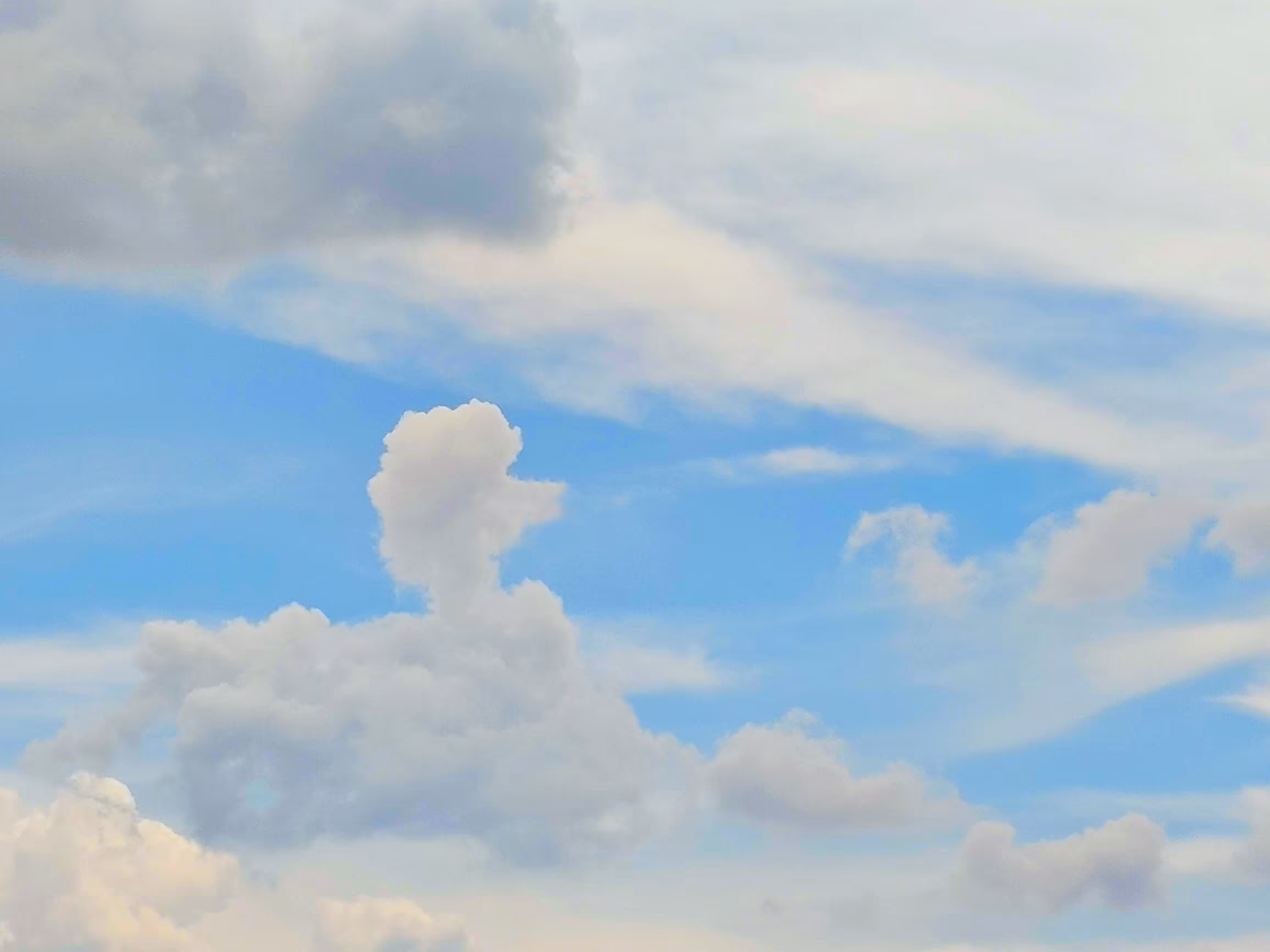 Cloud Duck