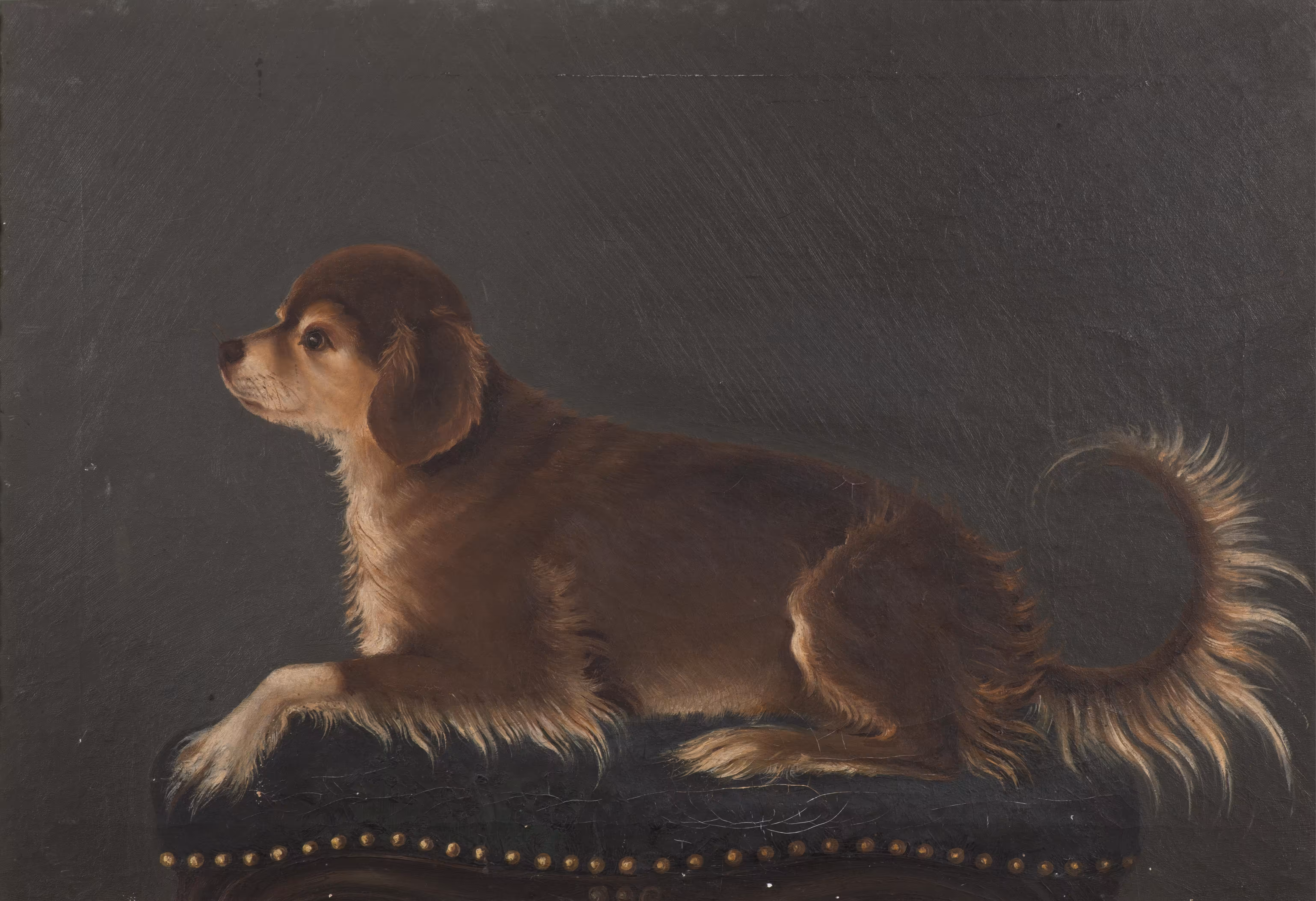 Portrait of the Dog Šotek