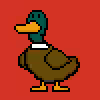 Bitduck