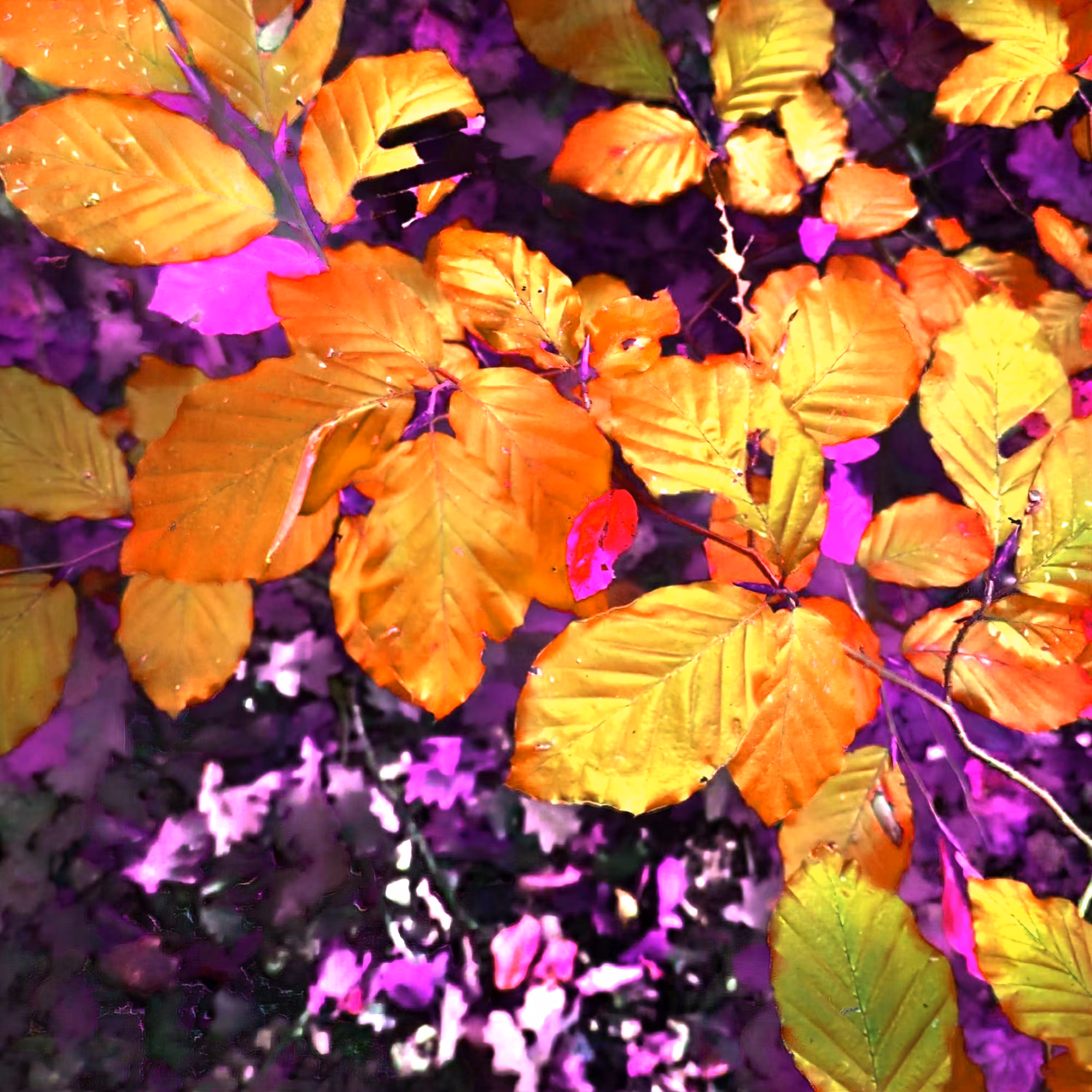 Plot u329n50dv