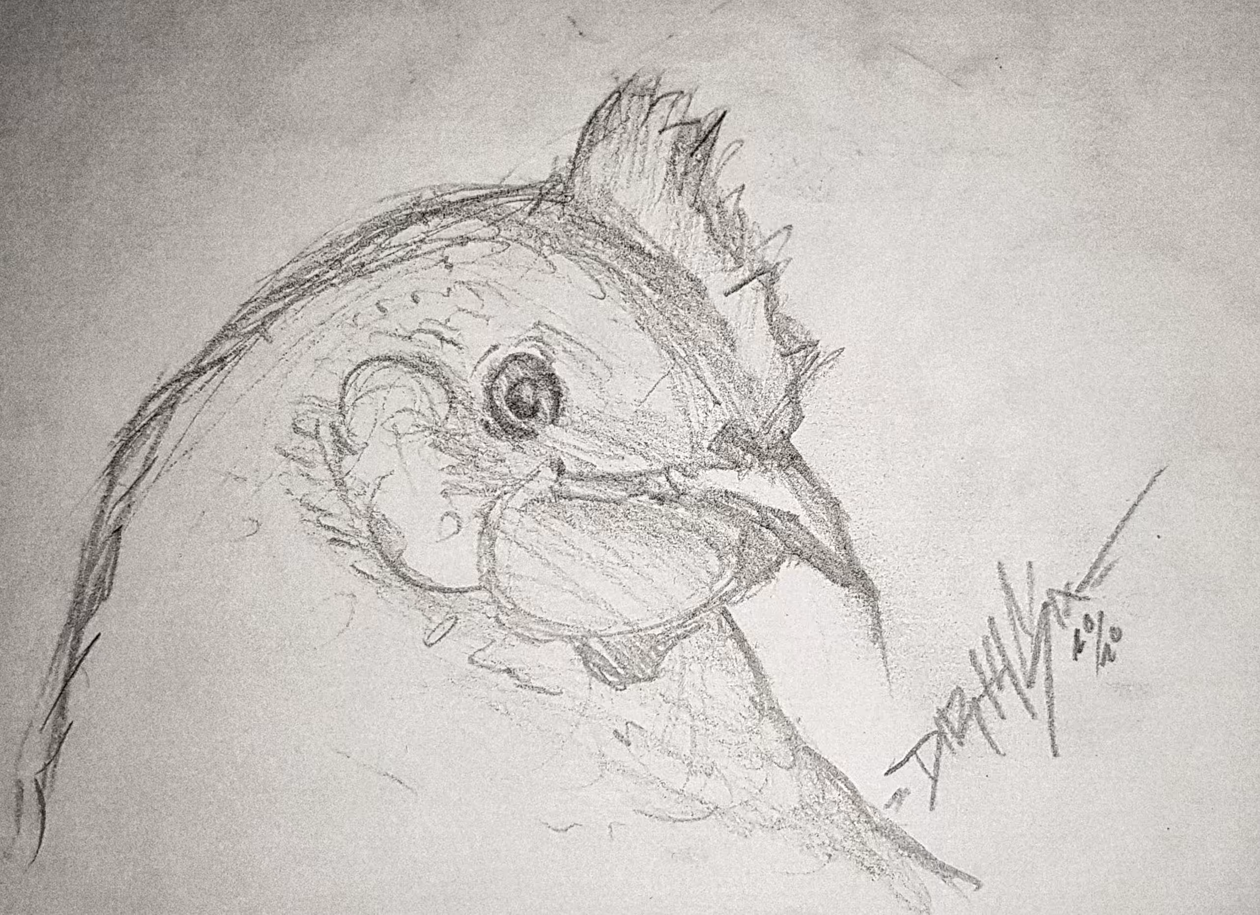 Sketch #3 