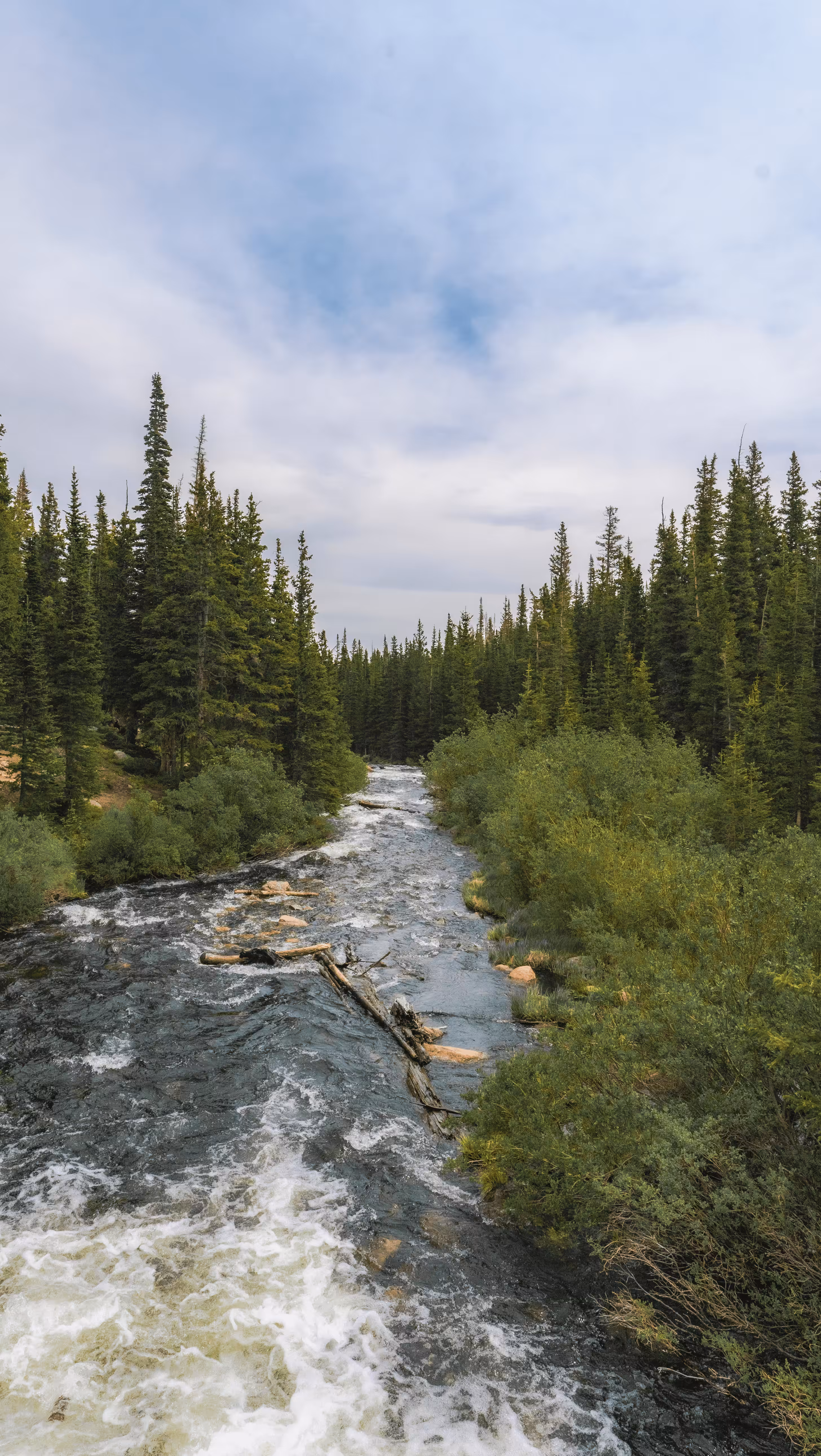 Colorado Landscapes #10 