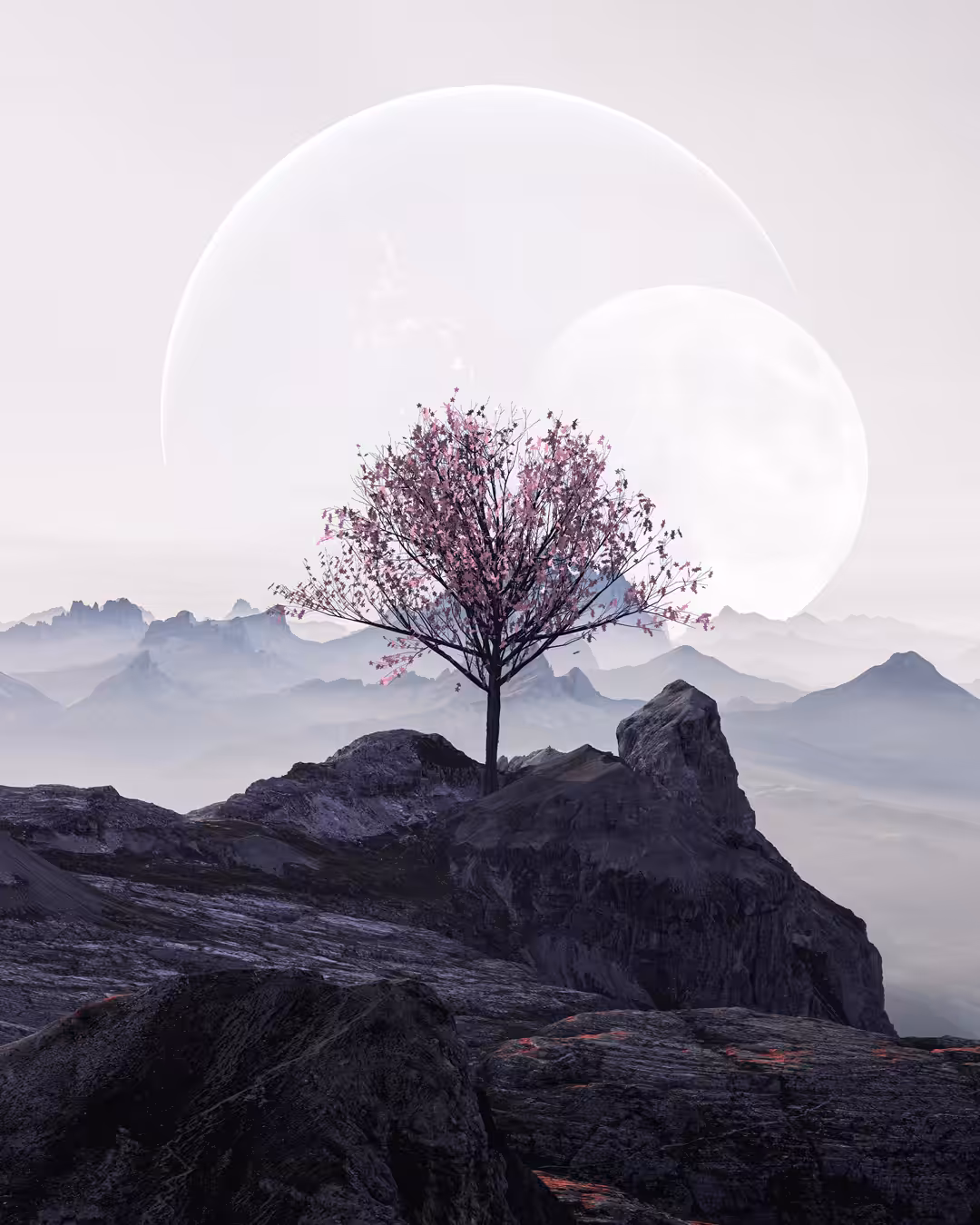 BOTANY OF MOUNTAINS
