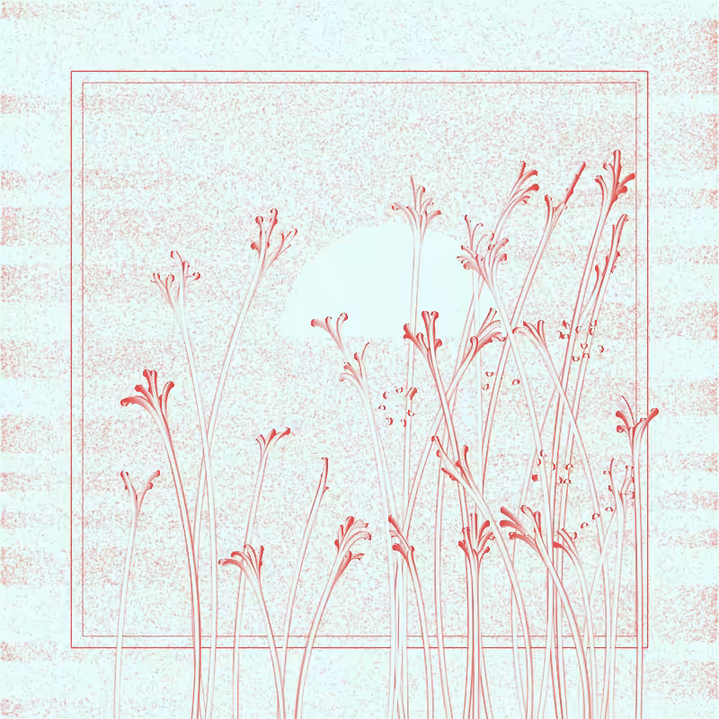 string_pllu