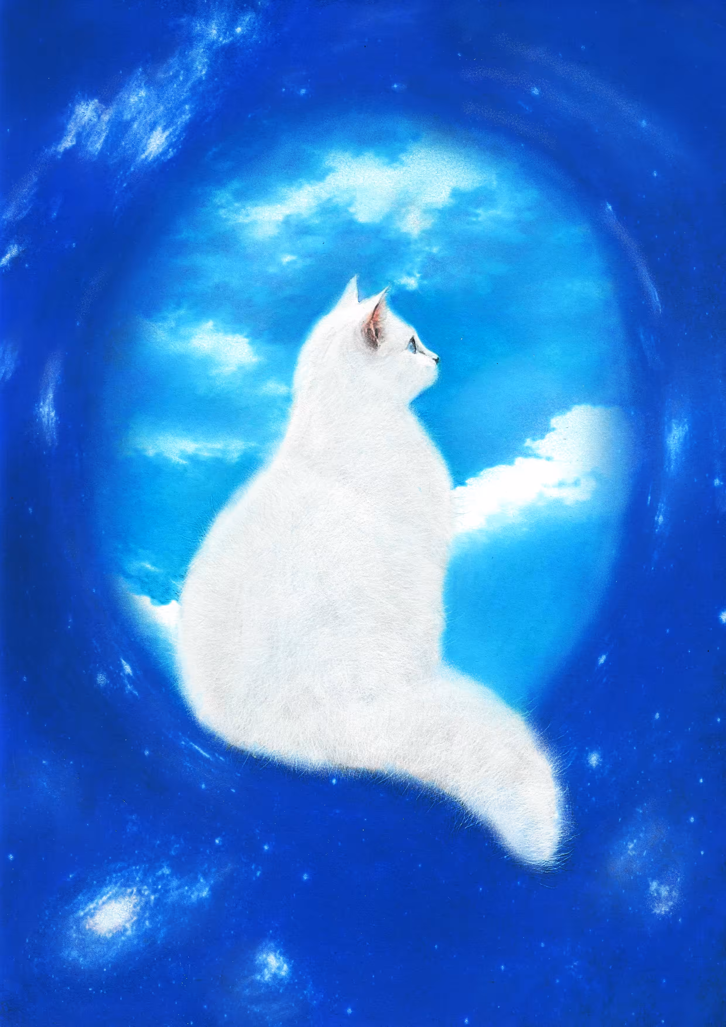 What do you see, kitten?