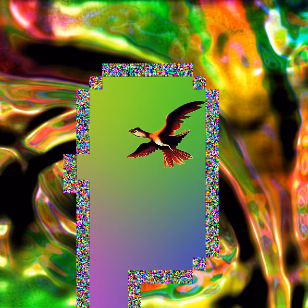 Pop punk #10