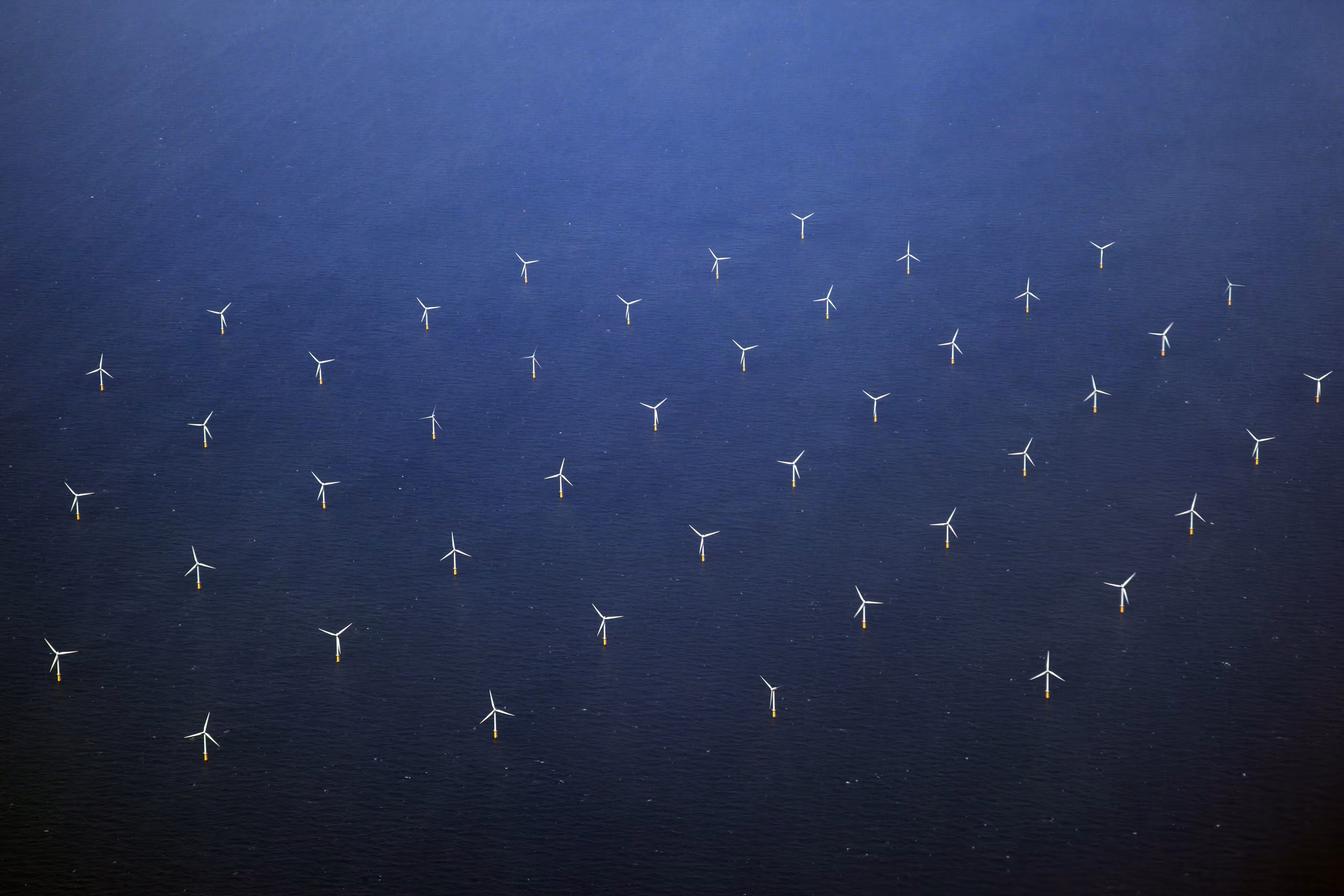 Princess Amalia Wind Farm