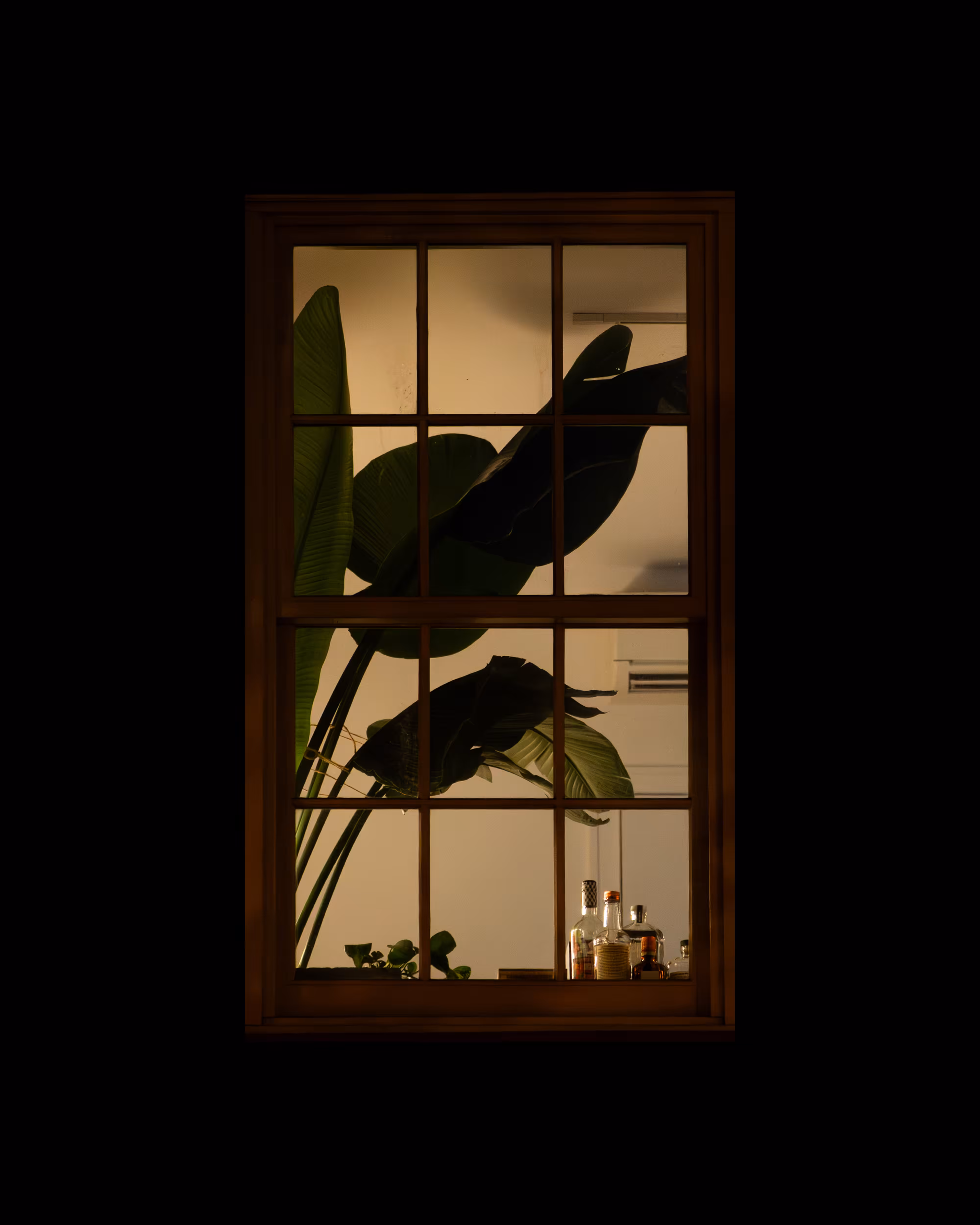 WINDOW 843