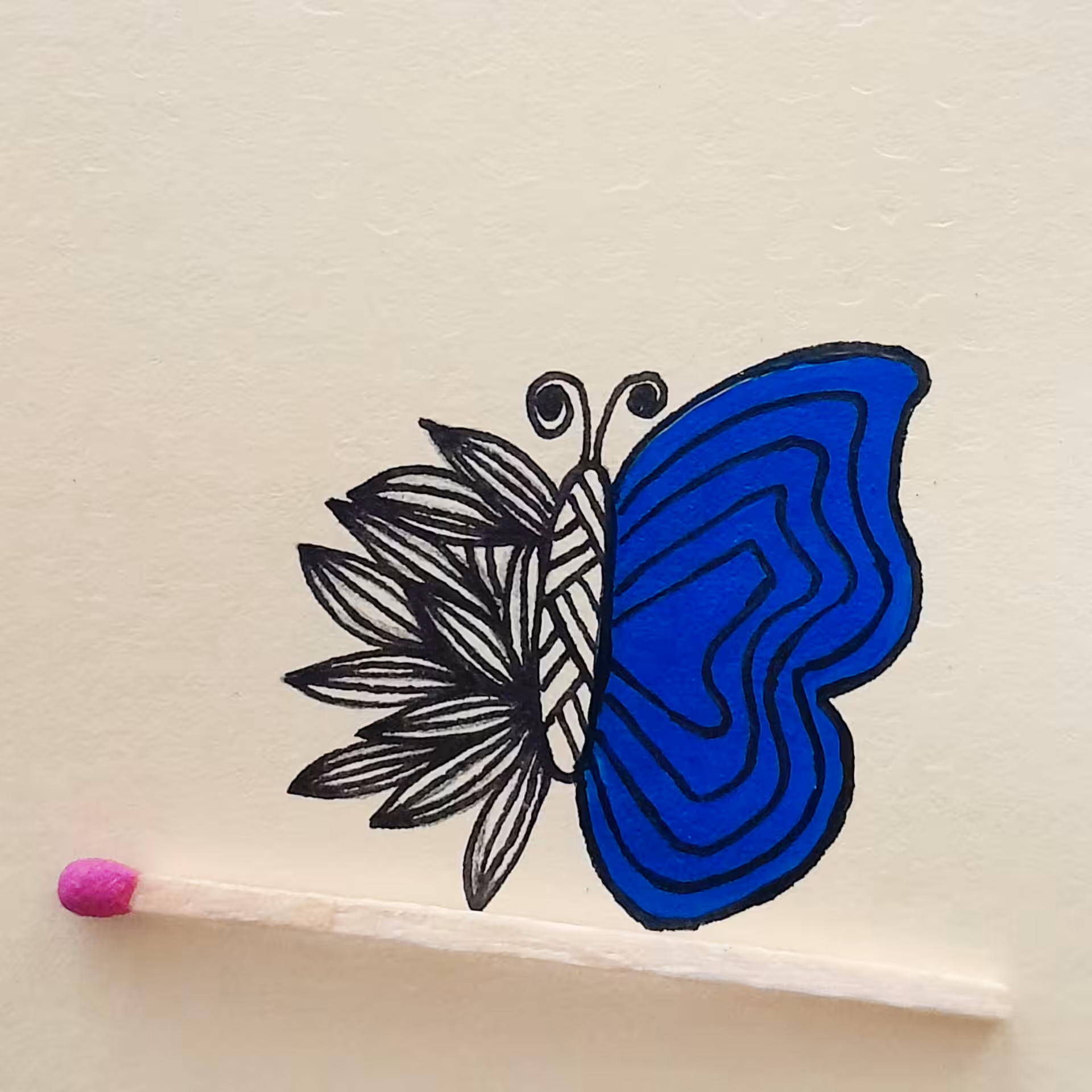 Butterfly 5