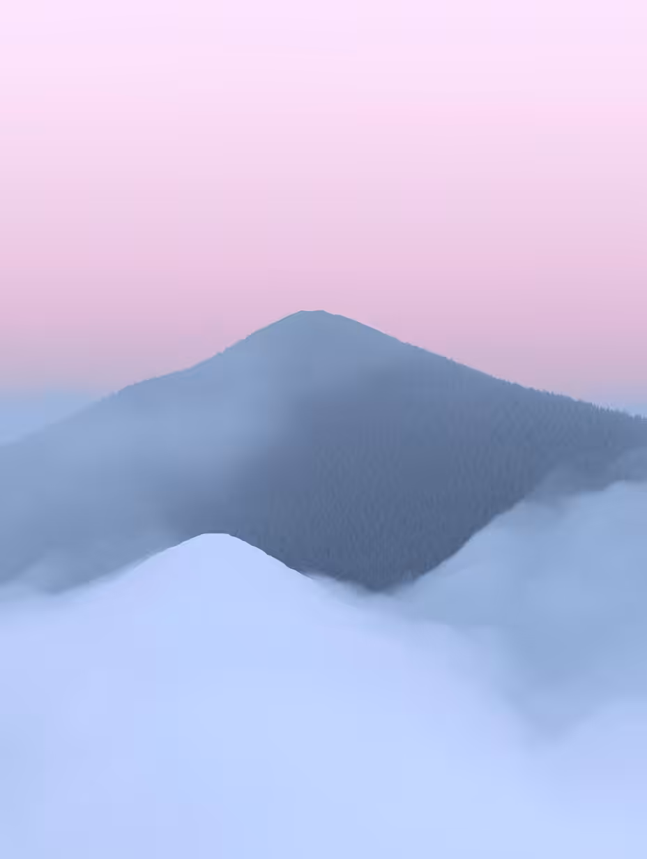 Study of pink 0.5