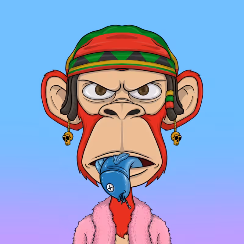 chimpantez #155