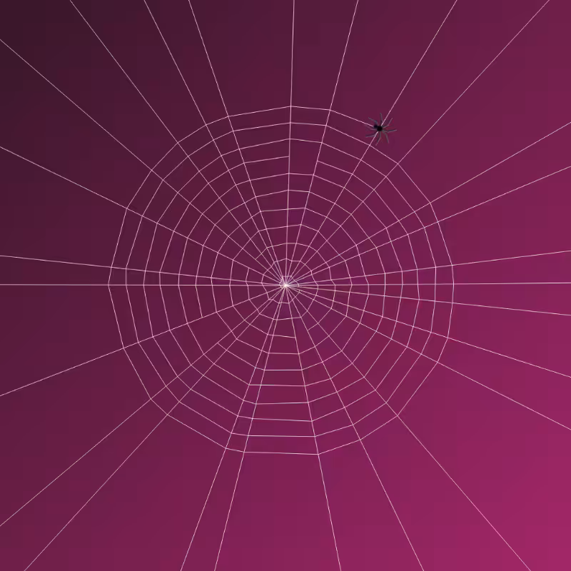Weaving Spiders #15