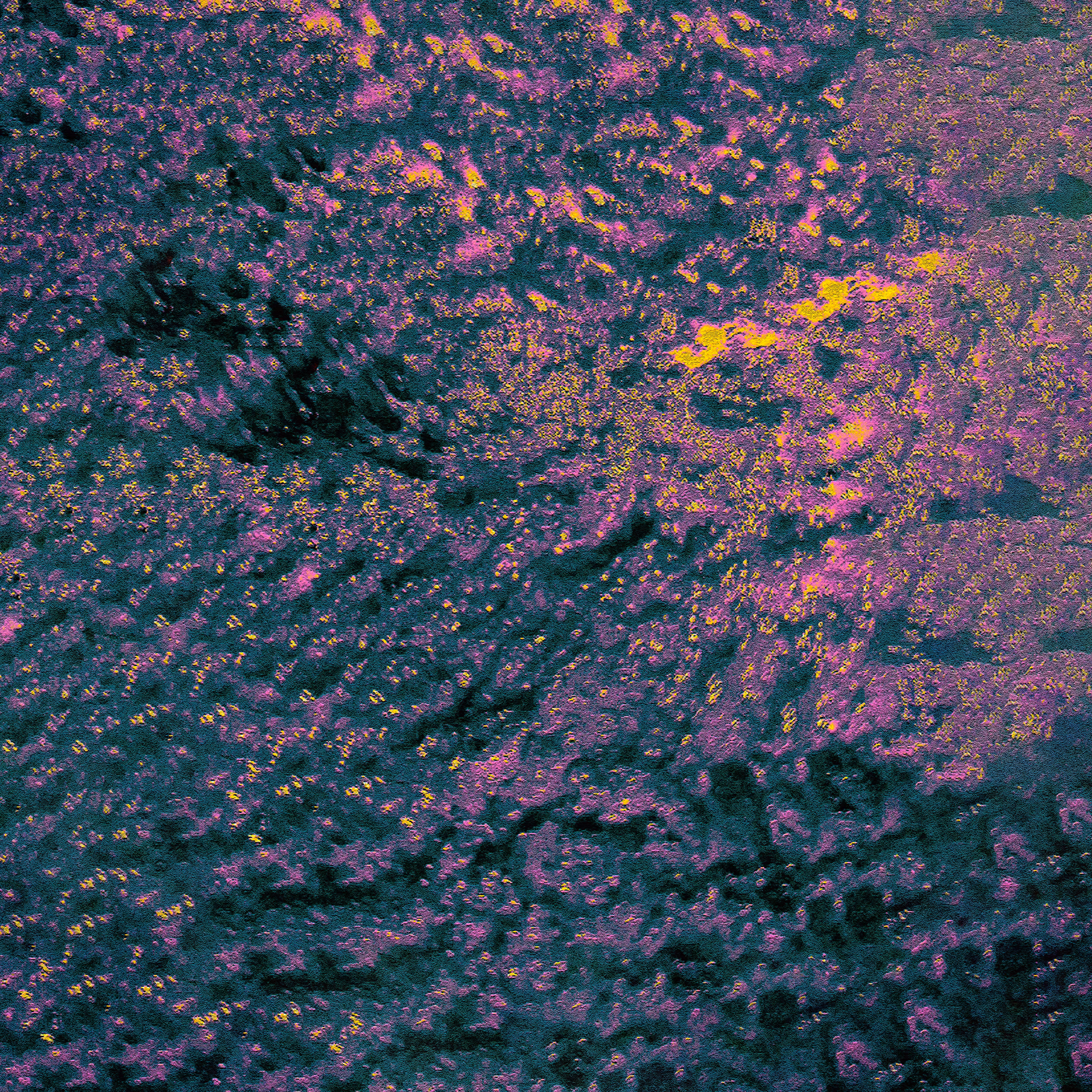 Purple Dreamland IV