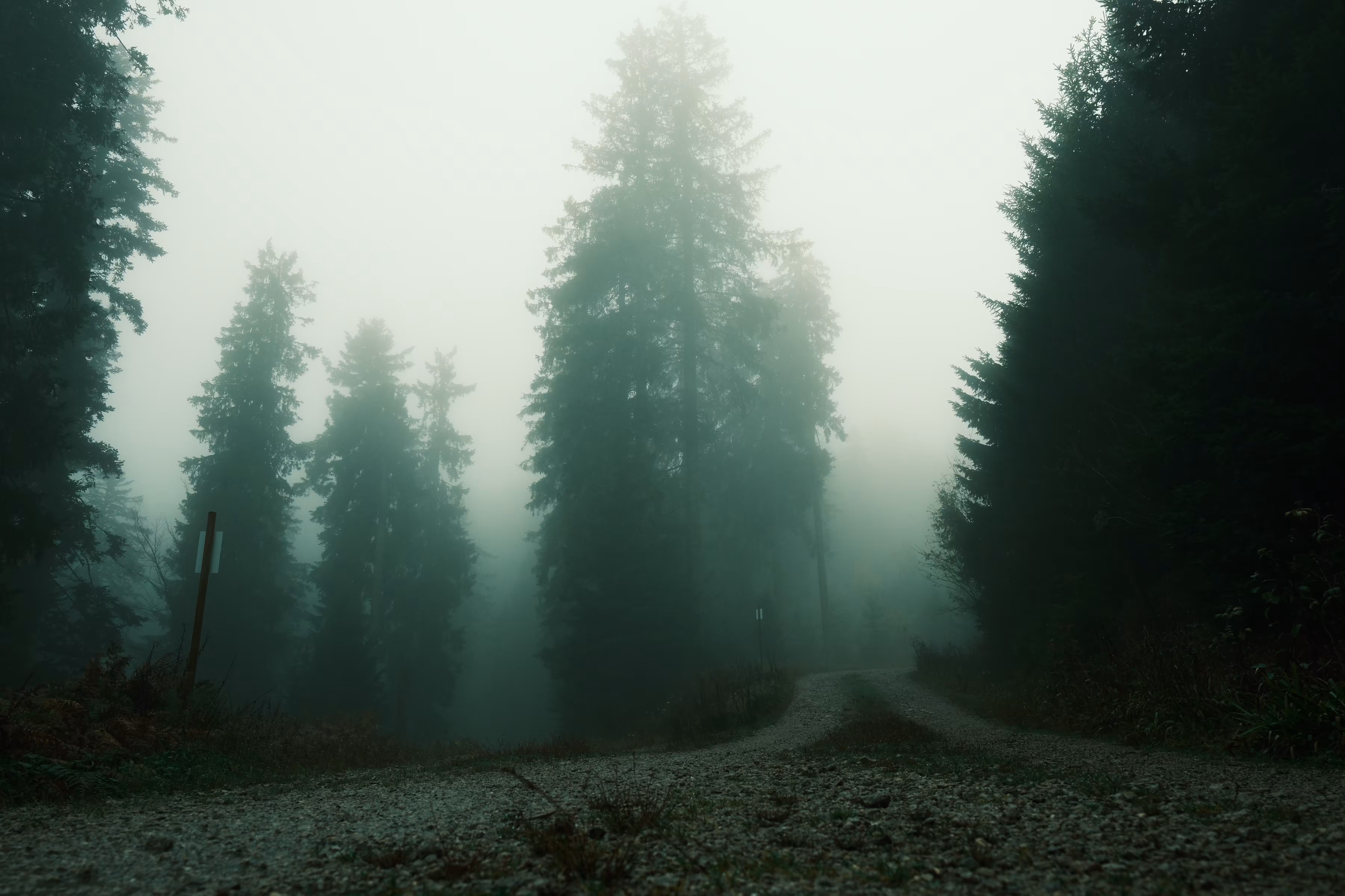 You have to choose a path