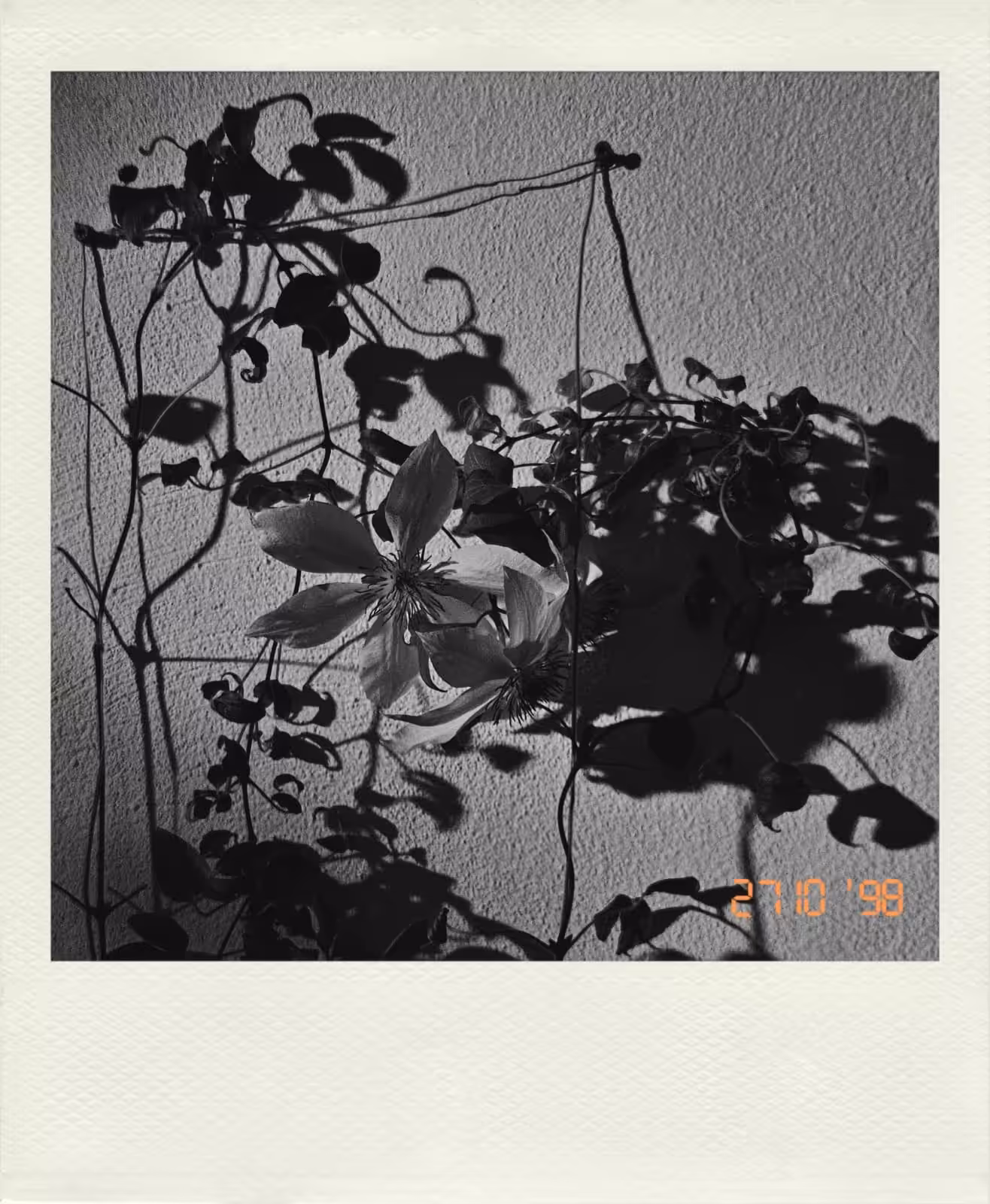 Shadowed