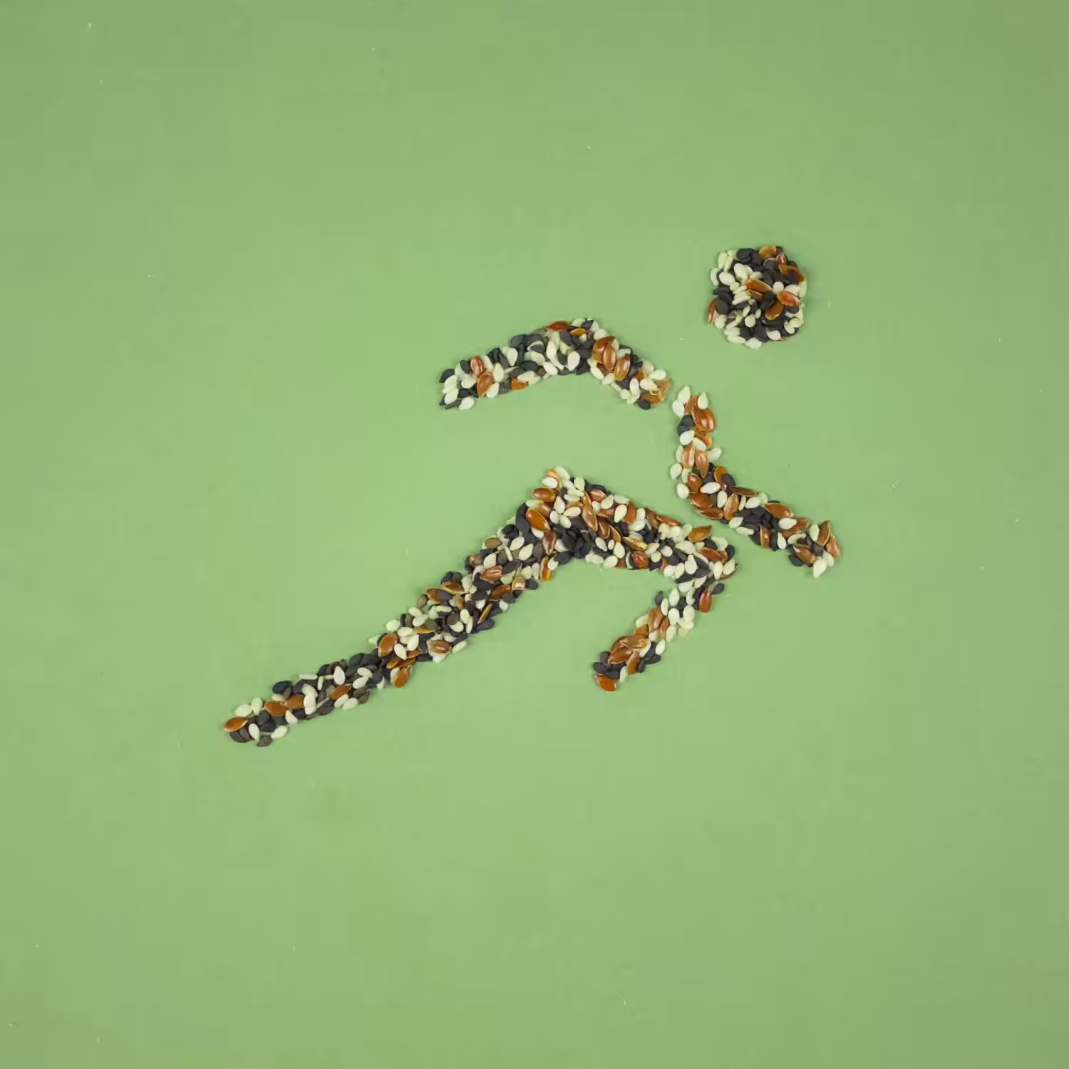 Seed Runner -Stop Motion Animation