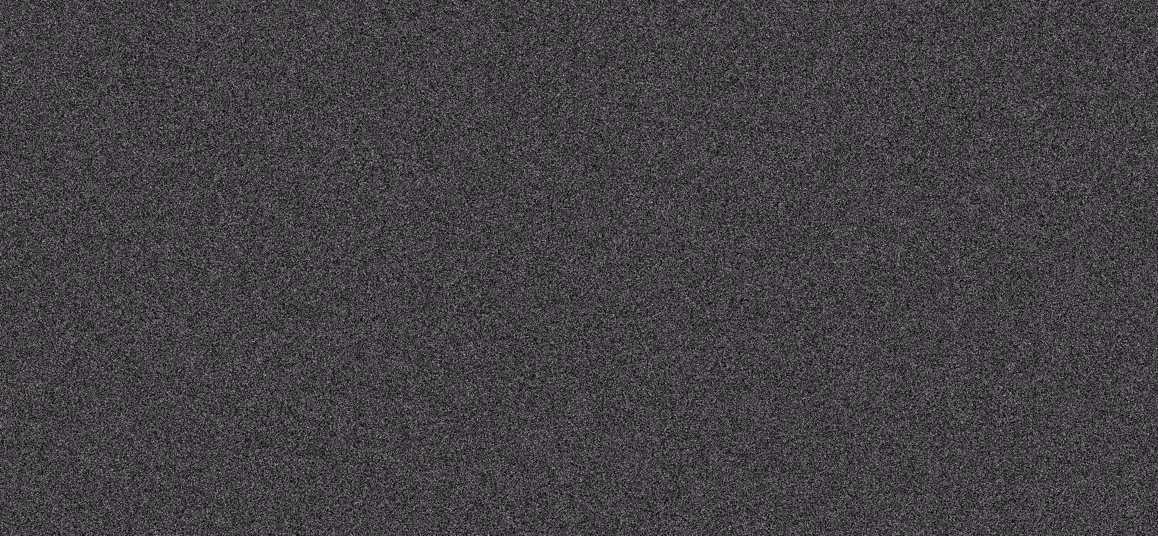 WE ARE NOISE