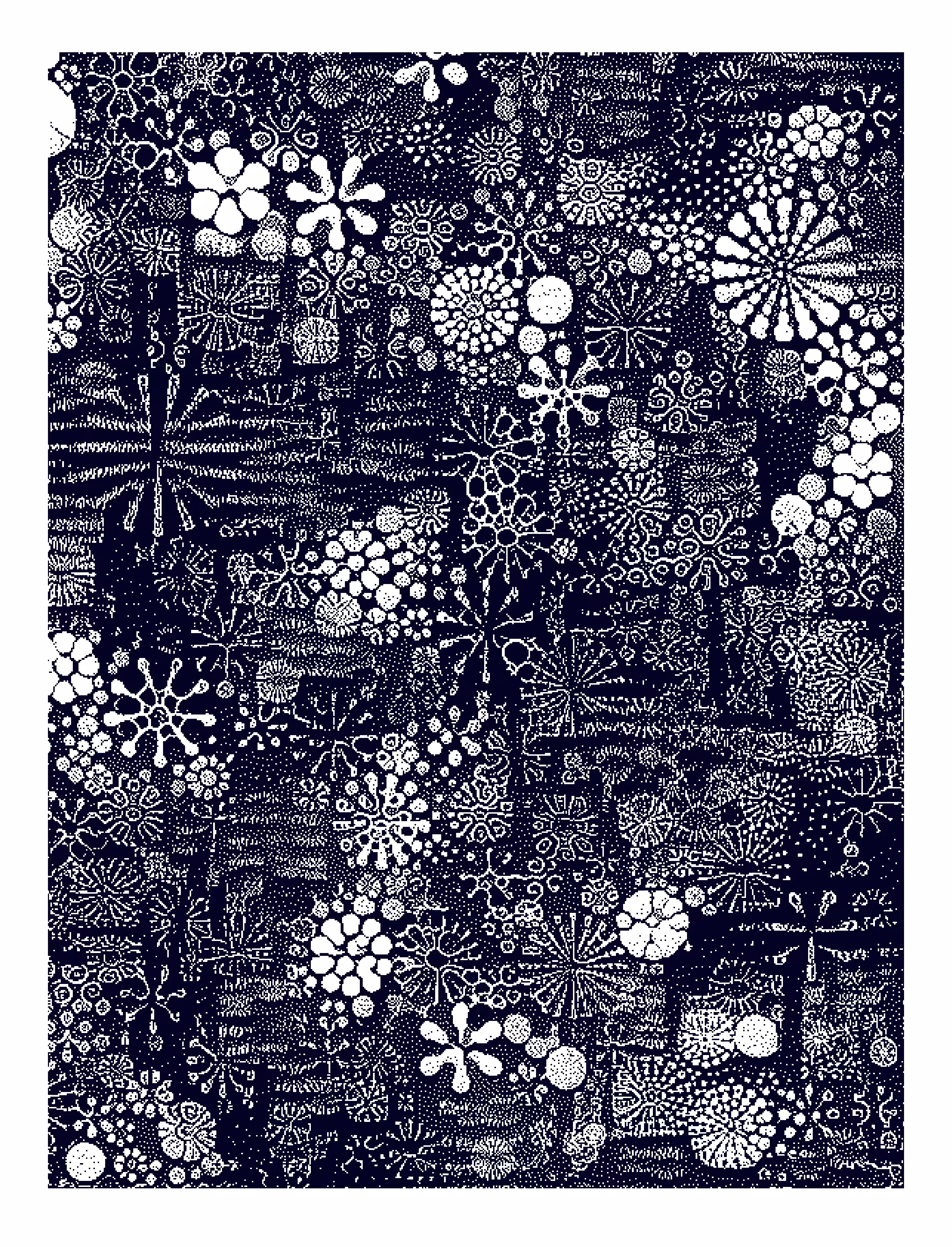 Haeckel_I