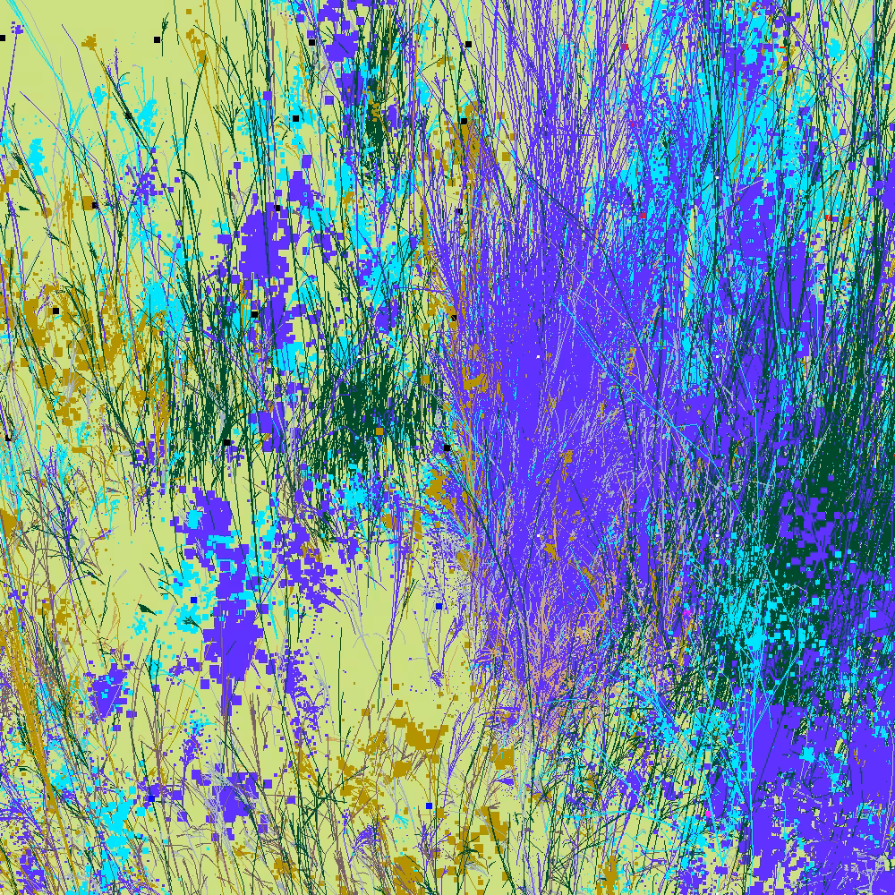 Infinite Garden: 34853 Flowers
