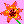 sunrise lily 01