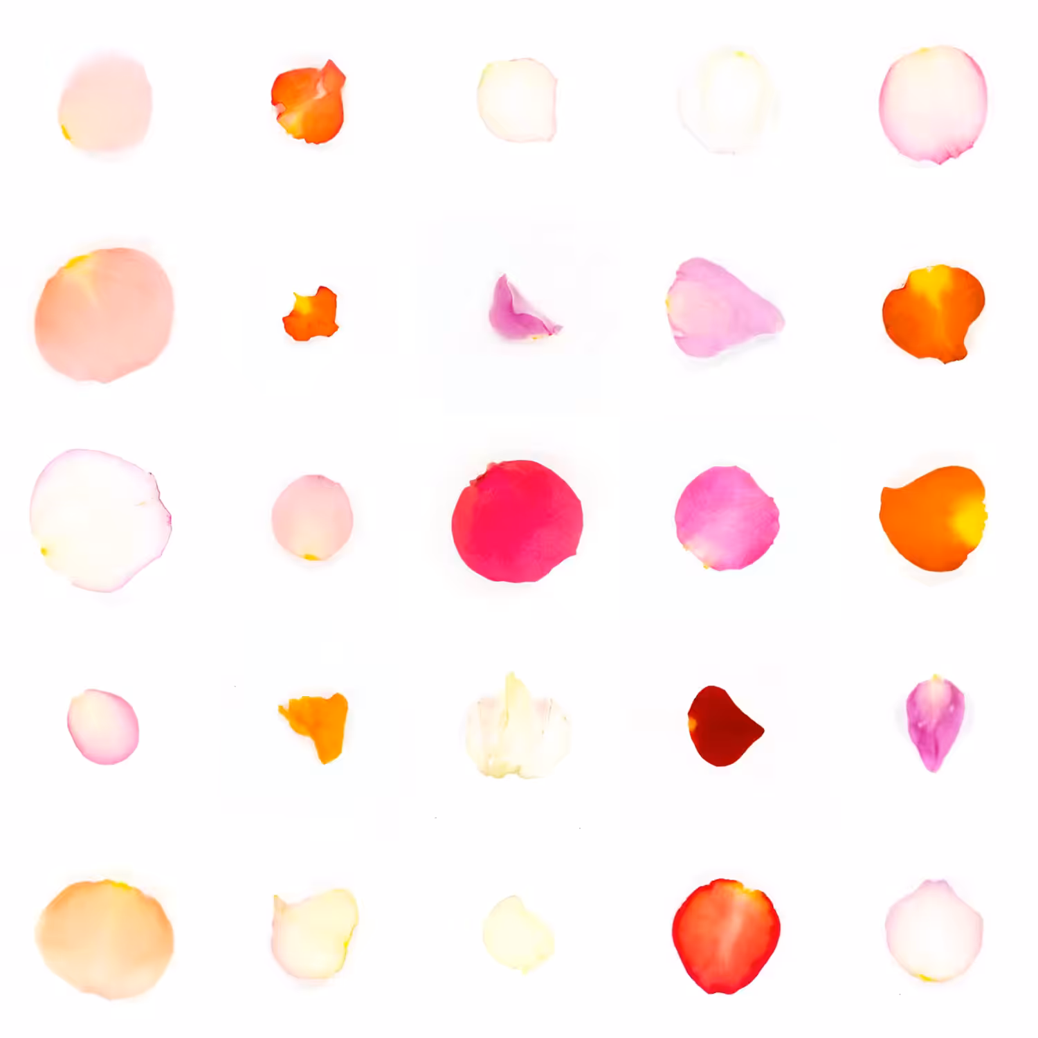 Infinite Petals 5x5#1442