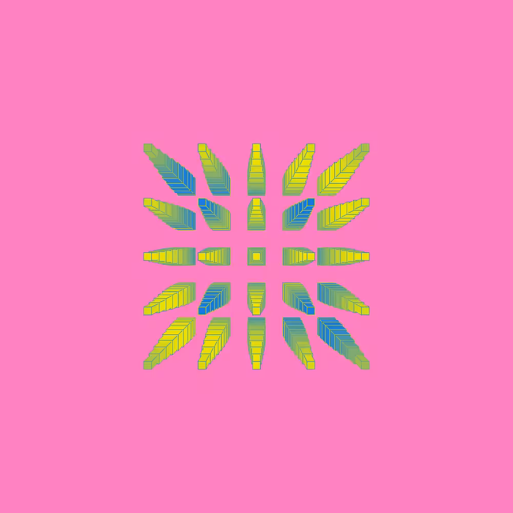 XYZ-21 #206