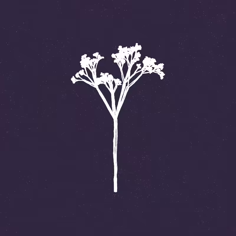 Hand-Drawn Tree #52