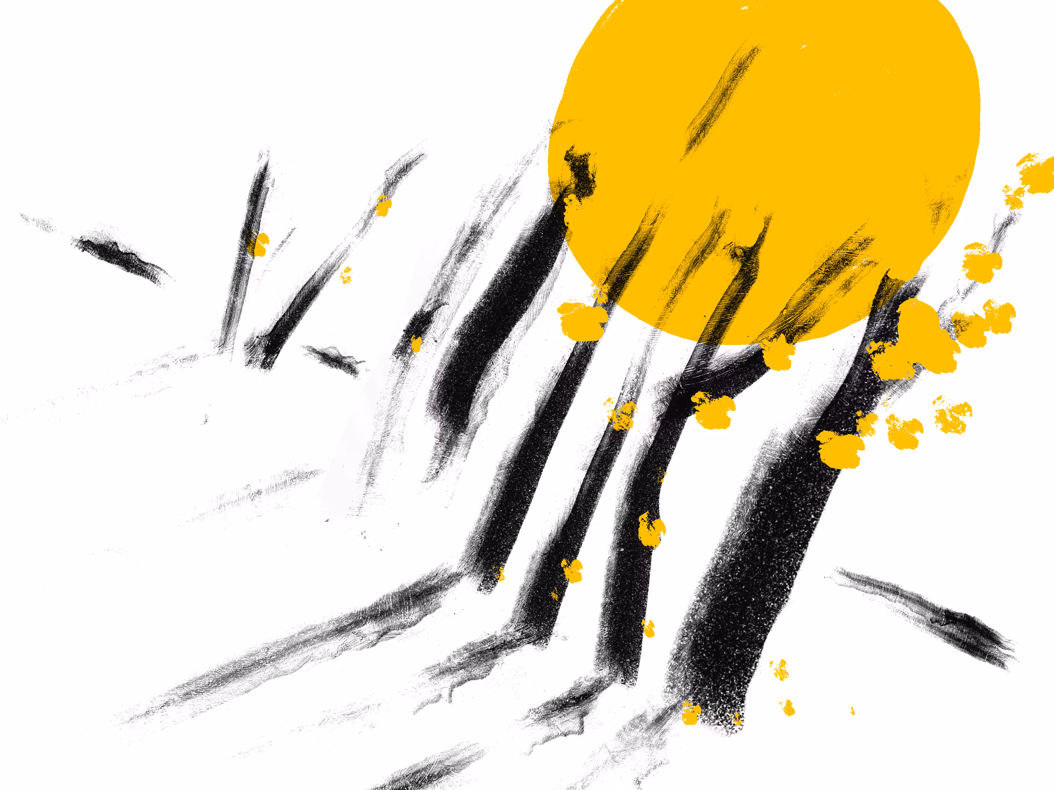 Autumn-08