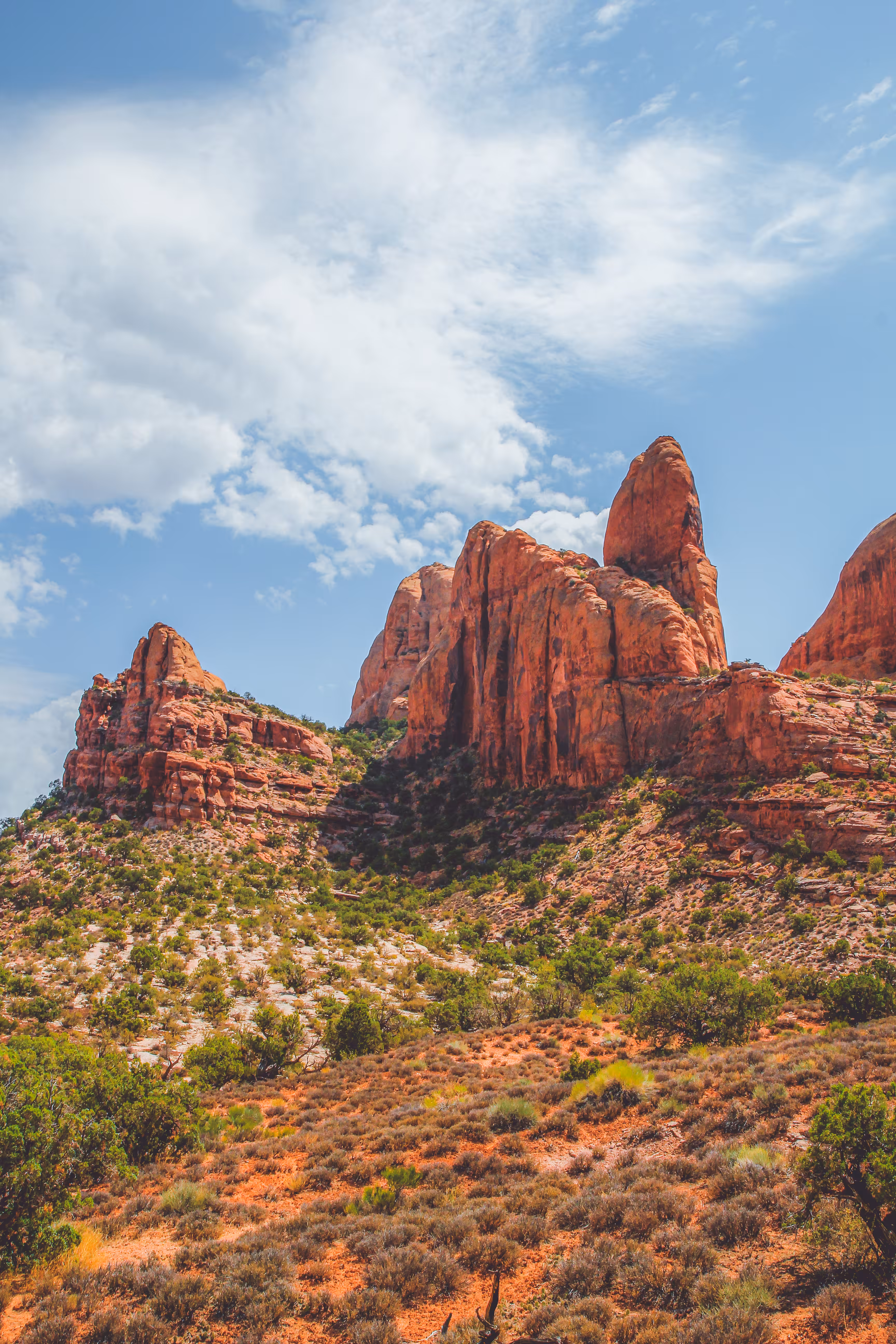Desert Sentinels