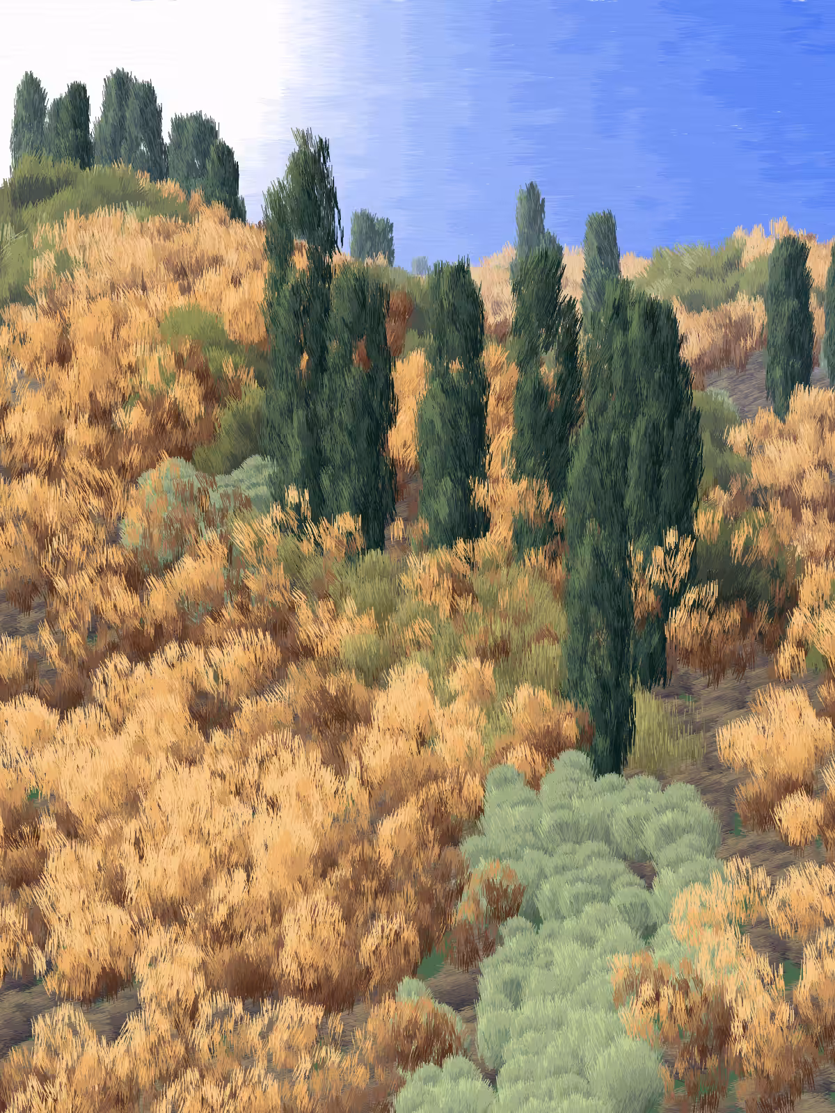 Provence #252