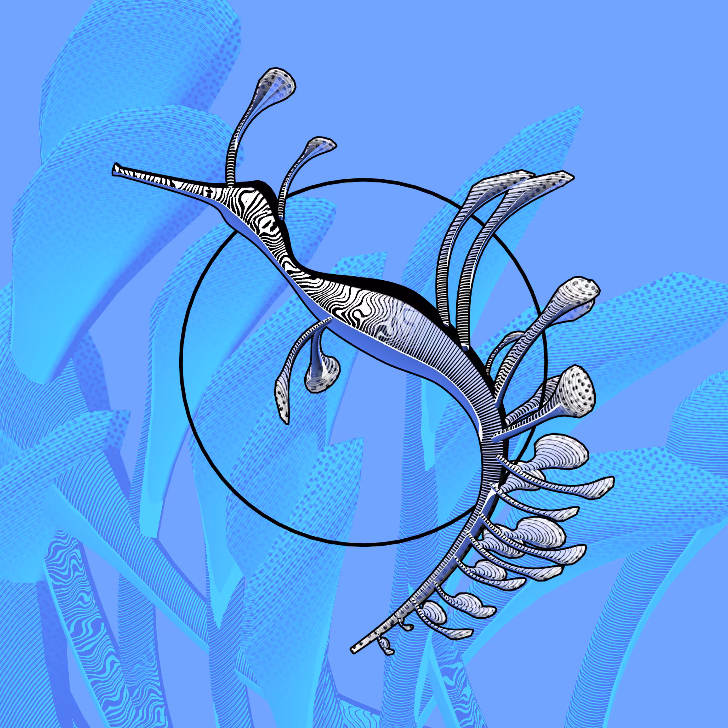 Seadragons #872
