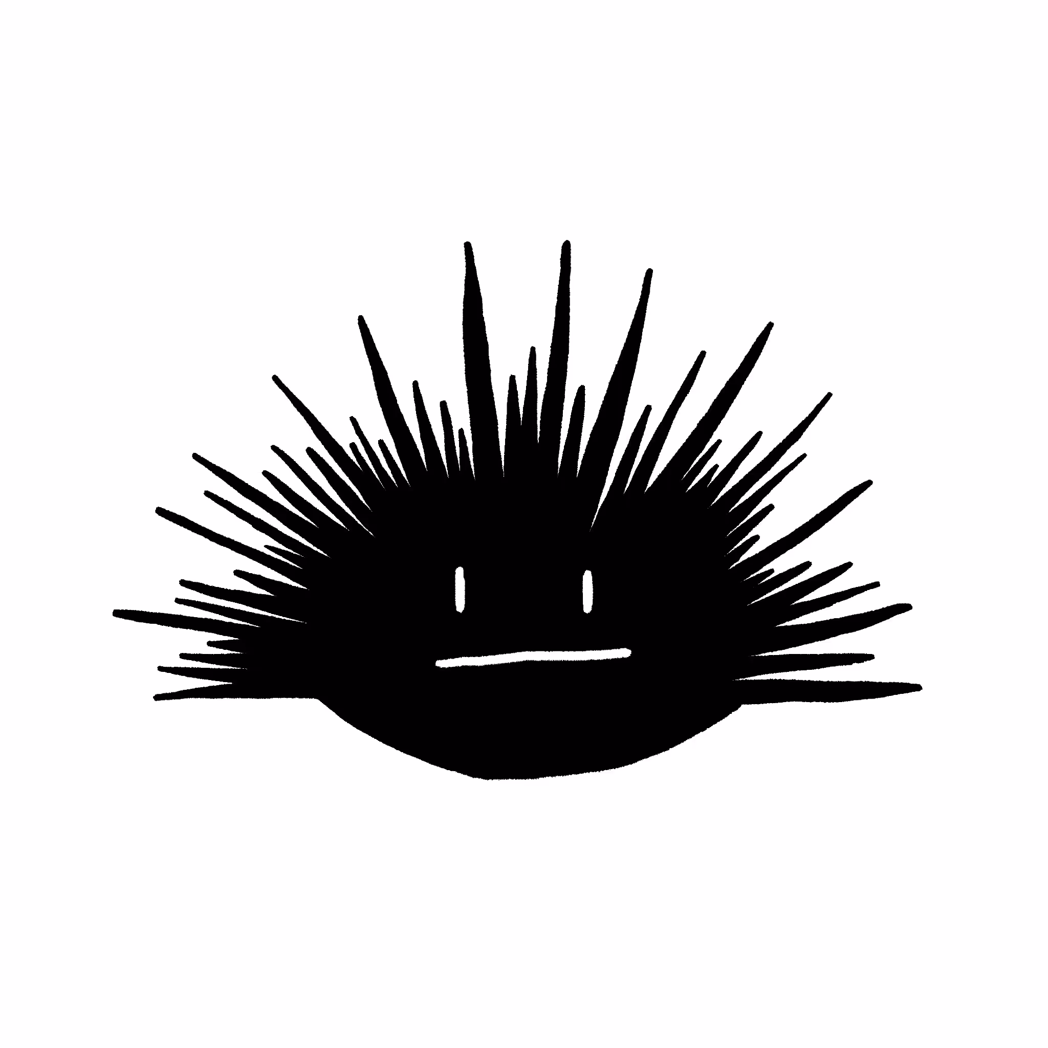 Sea Urchin