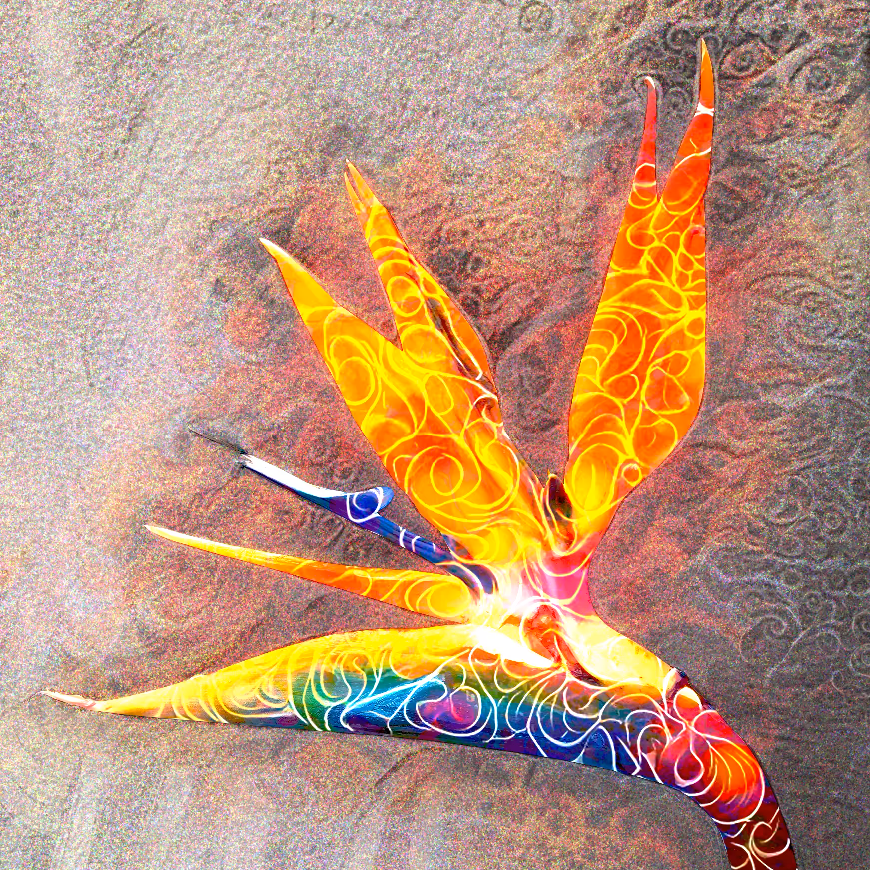 Phoenix Little Bird