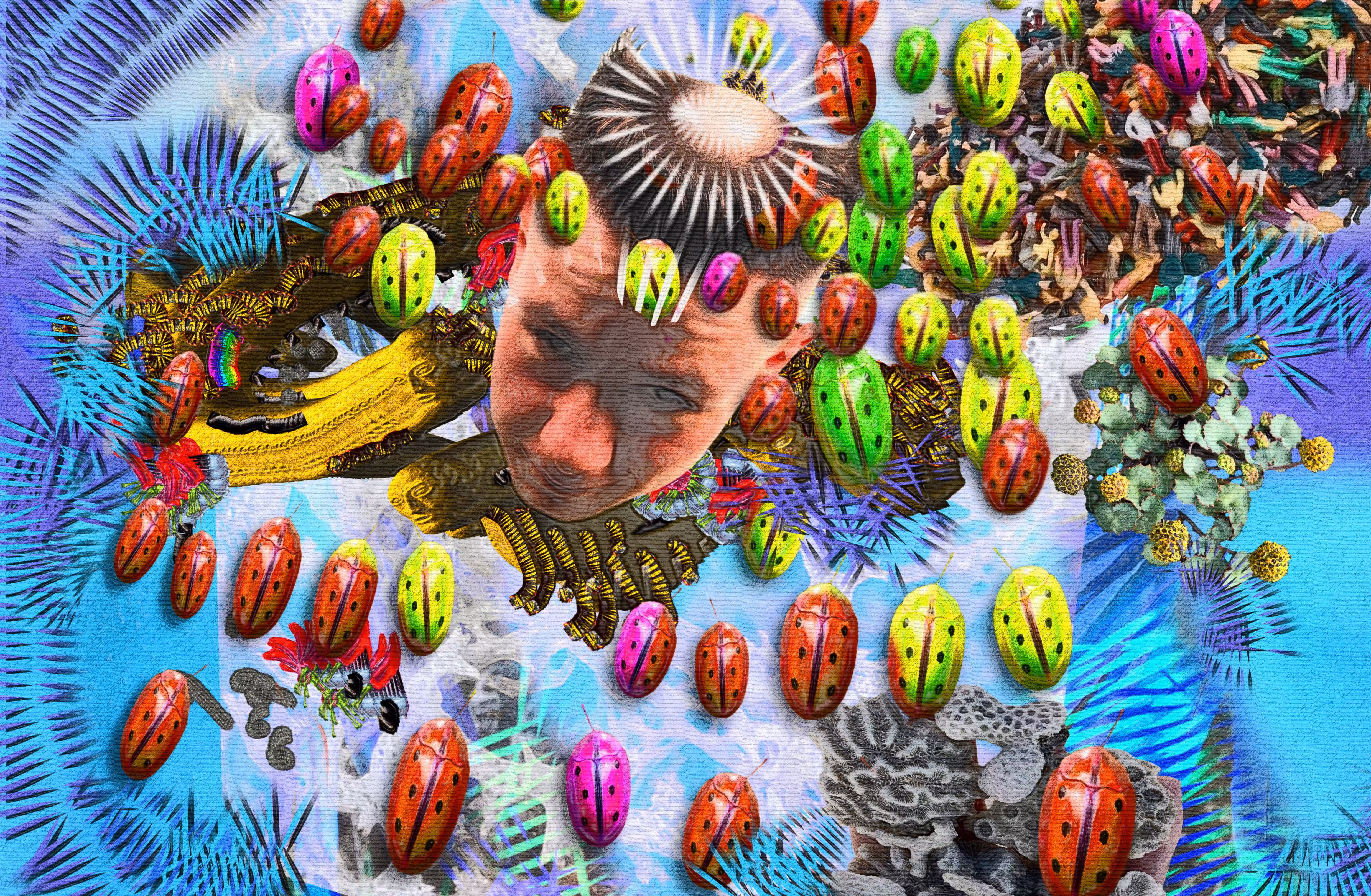 WILD WORLD #7