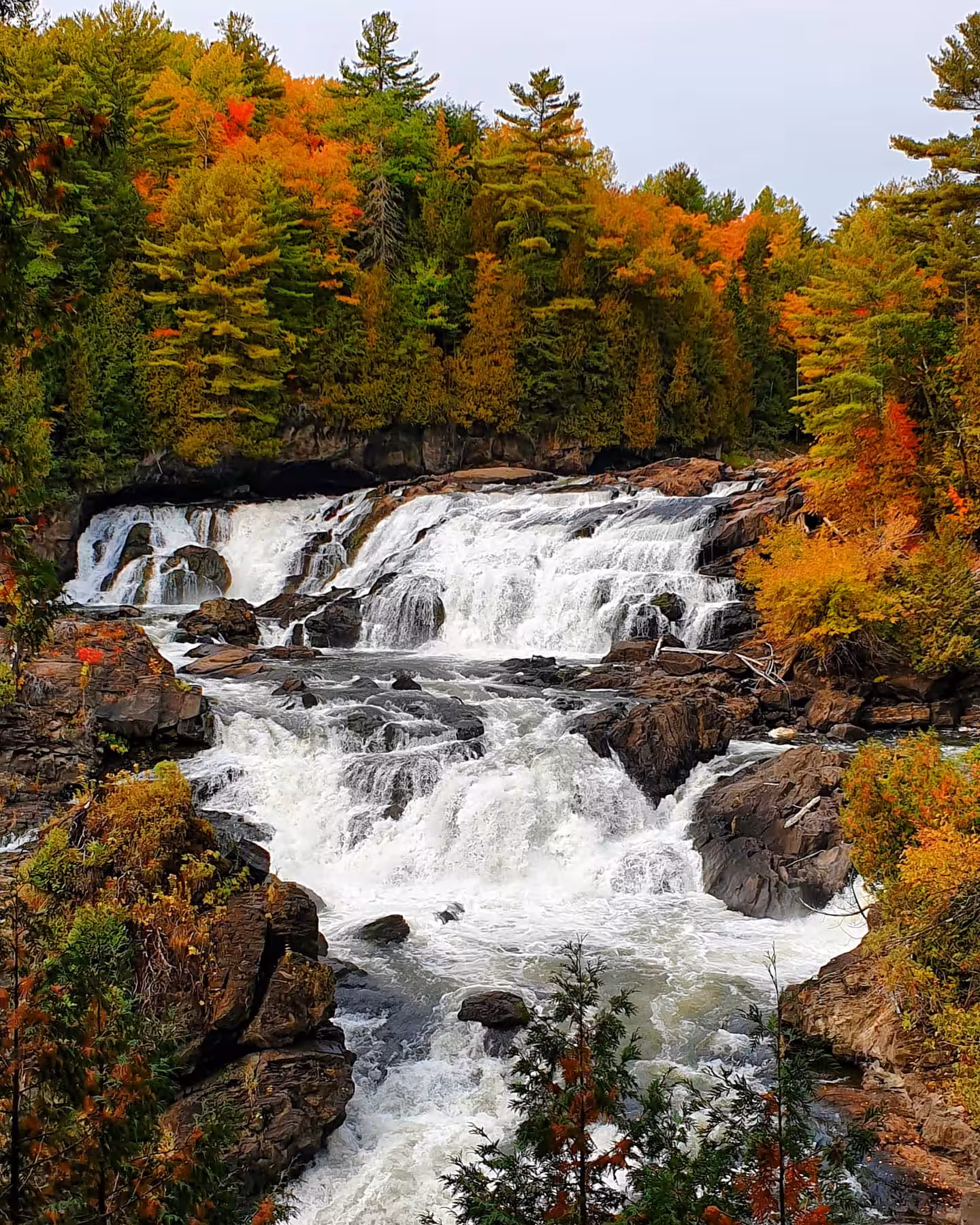 Fall Views