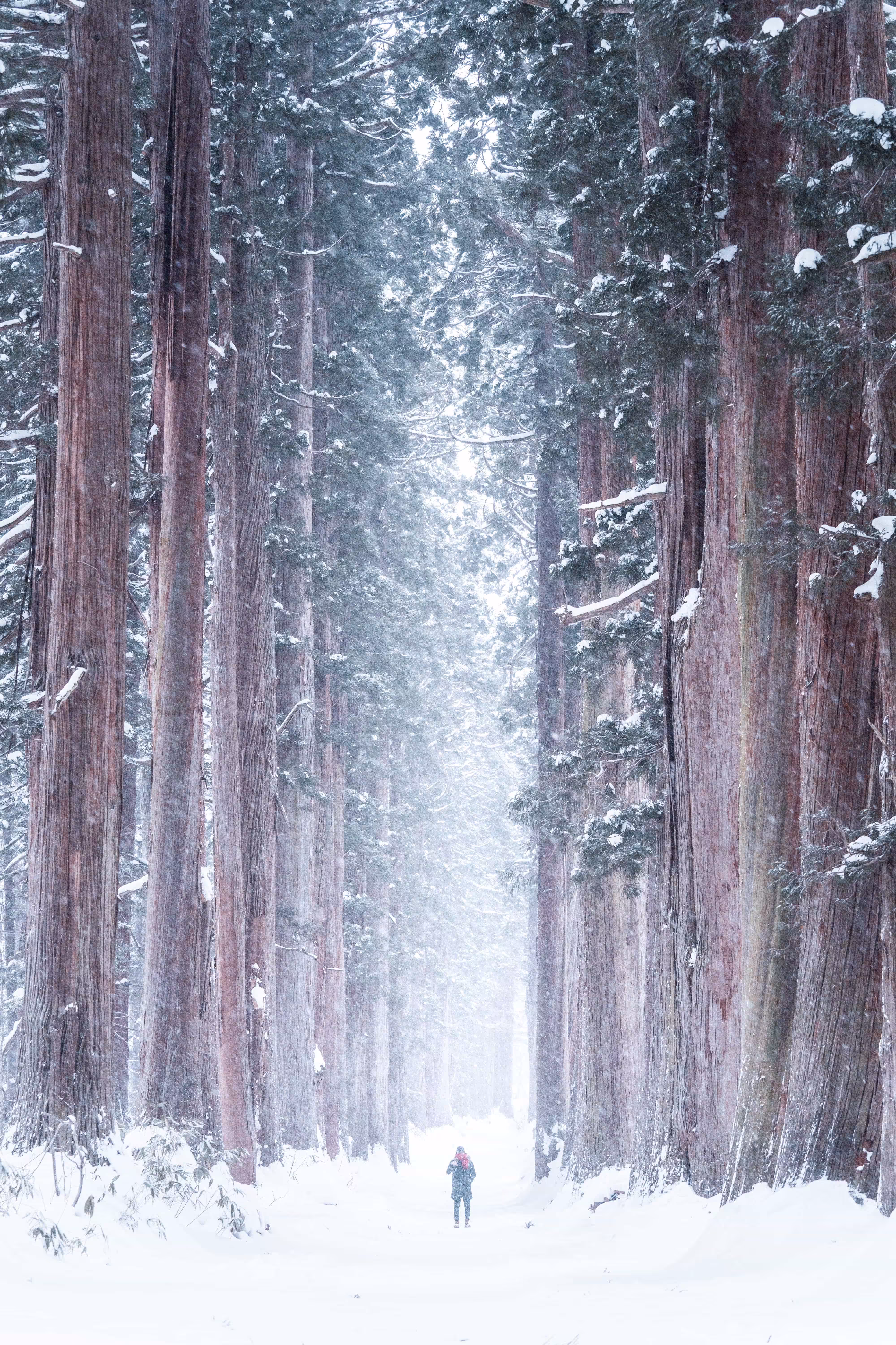 Snow magic