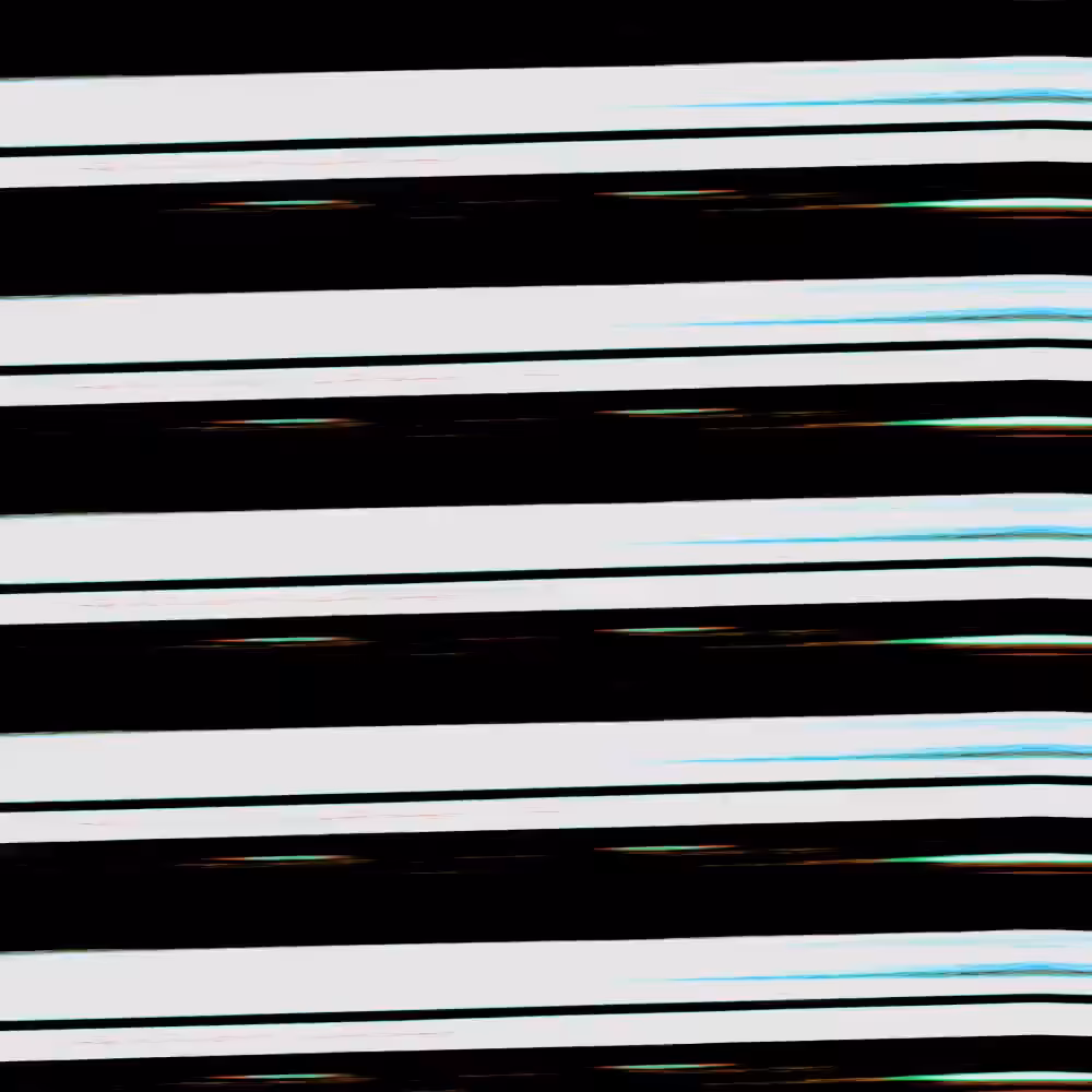 ｖ１．０００１．２