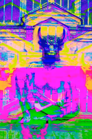 Bull Run 2020