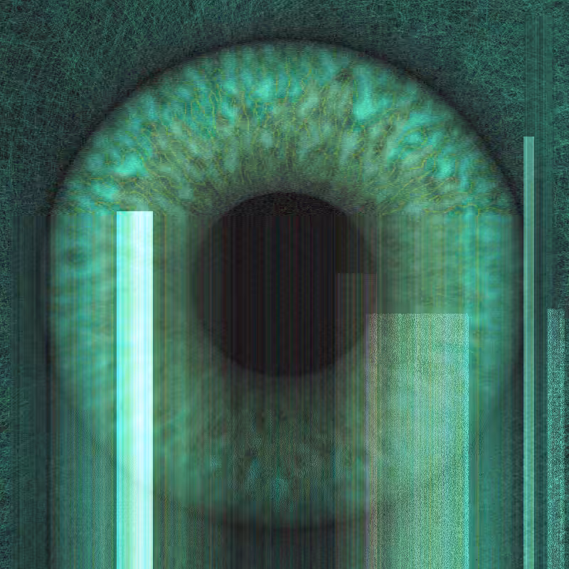 Distorted Vision #69