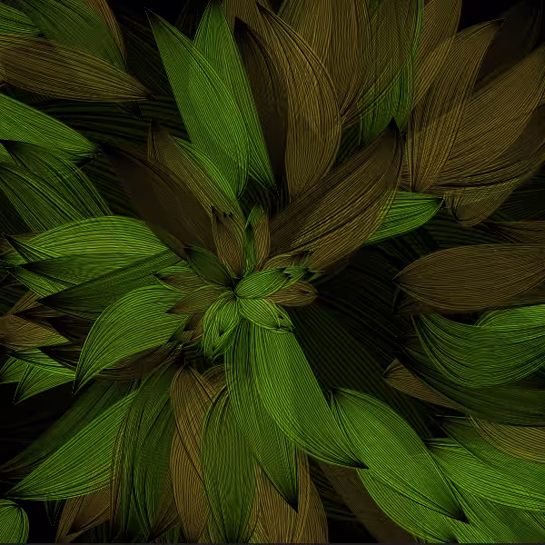 Petal in Hope of Light #15
