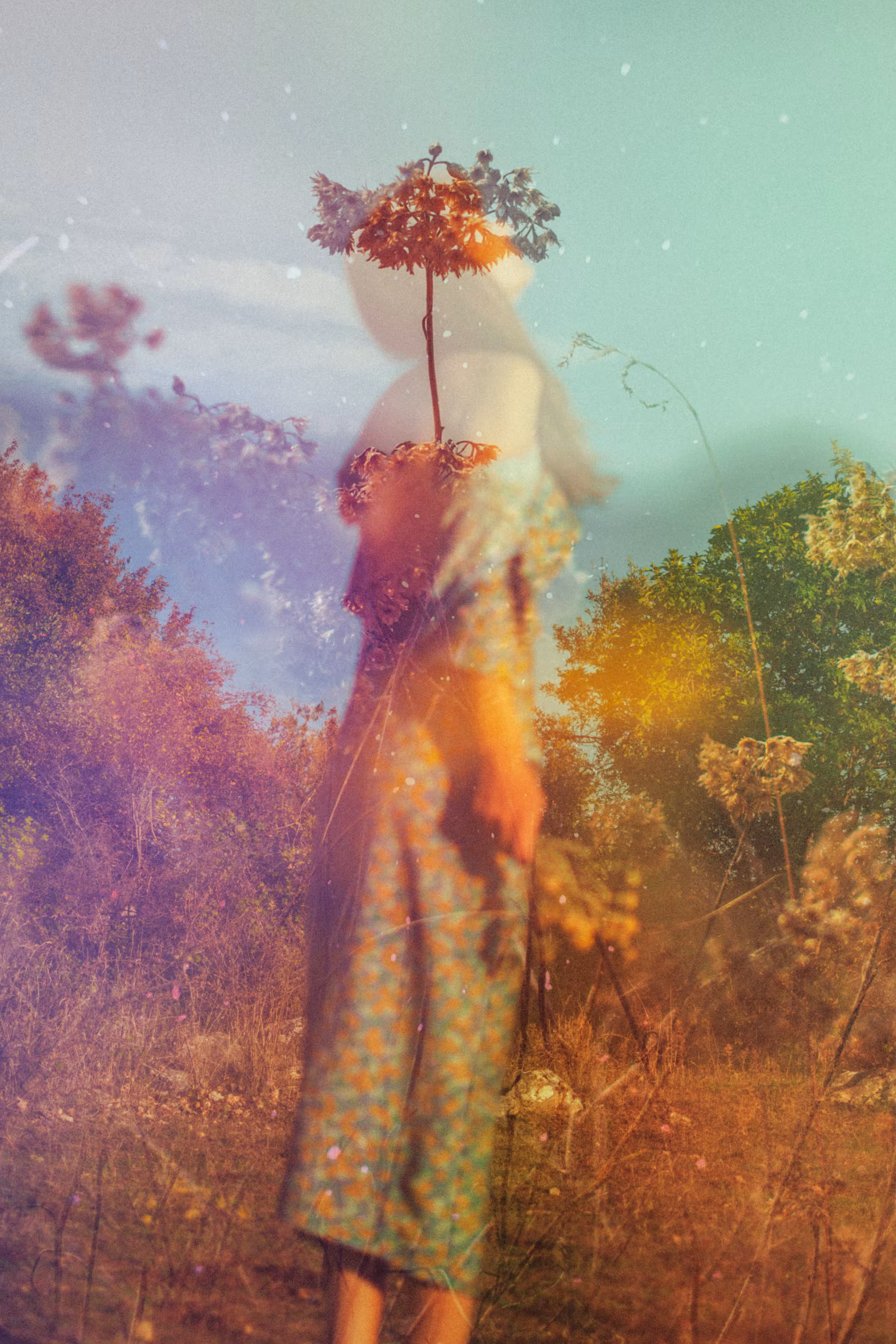 I will grow a flower from the pain you left behind