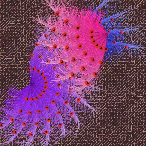 Oriental Peafowl Impression #7