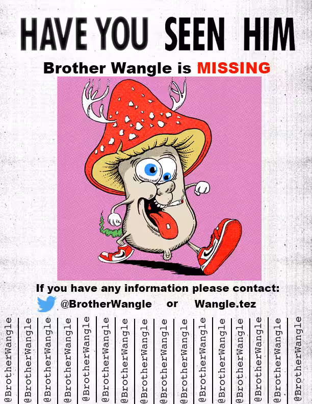 Missing Wangle 28