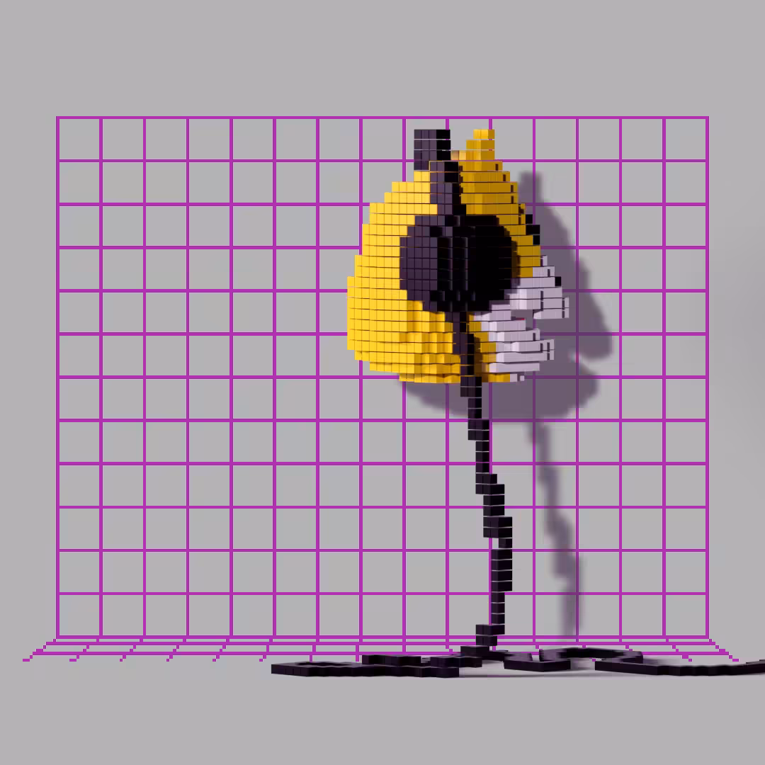 Voxel Eric 04