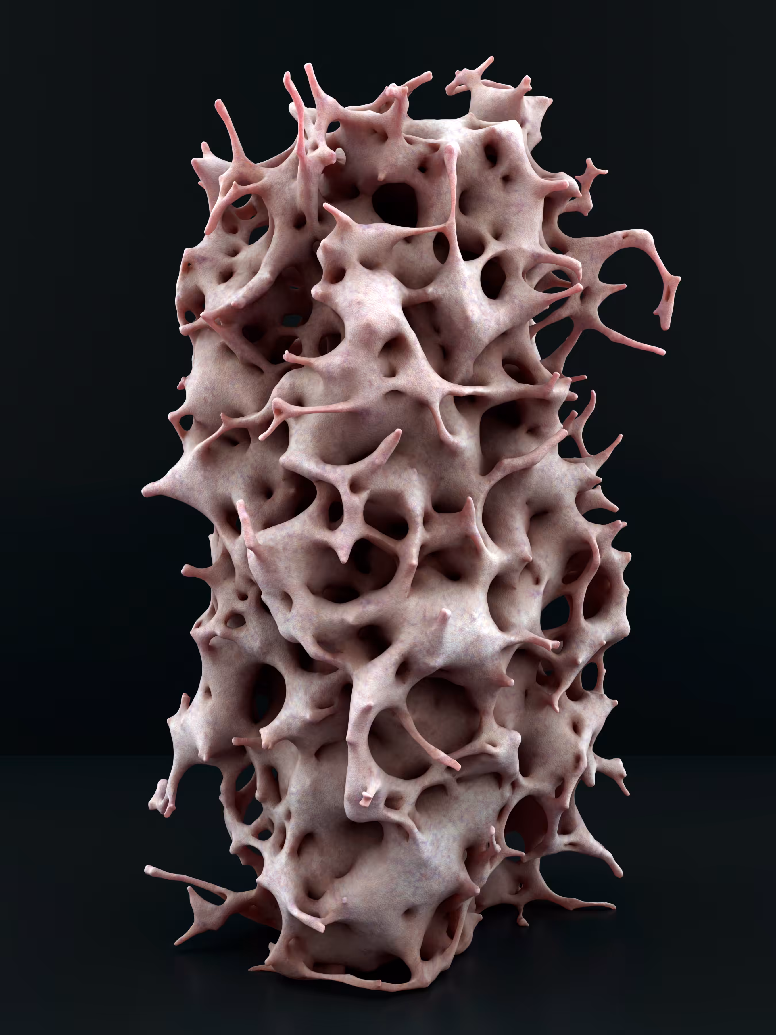 Generative Form II