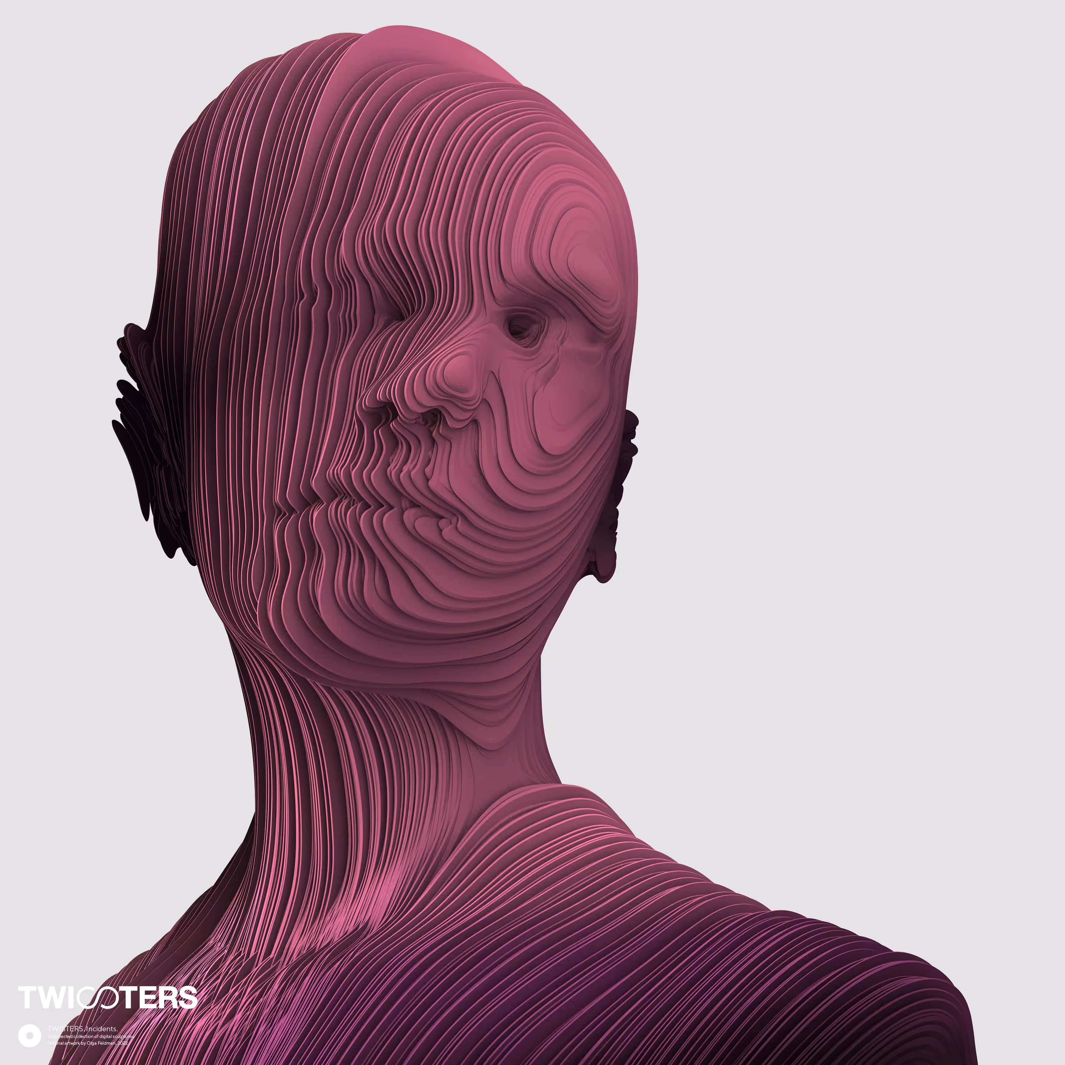 INCIDENT 011