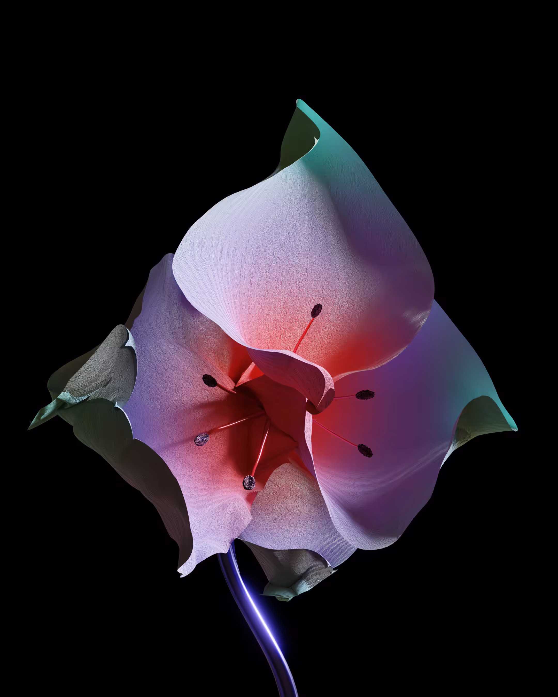 floral.001