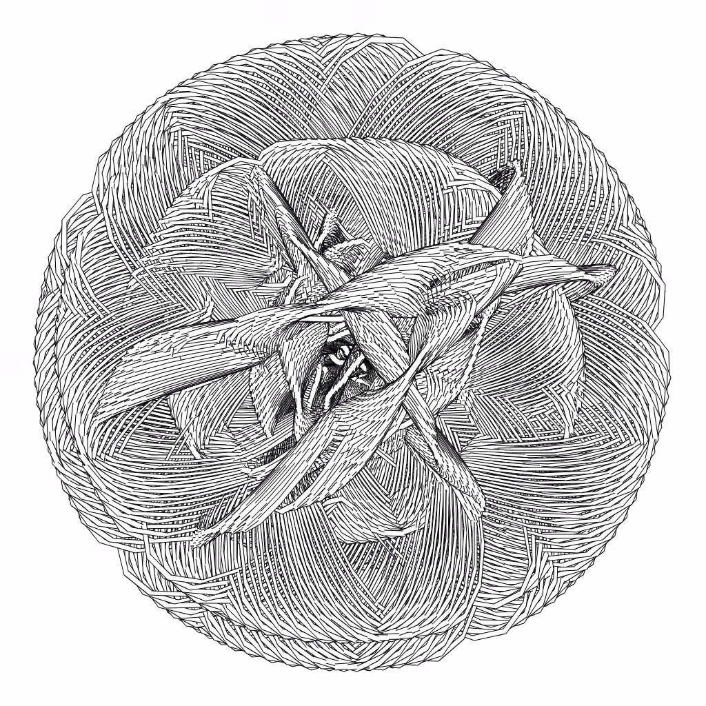 LL21 Entangled (3) #584