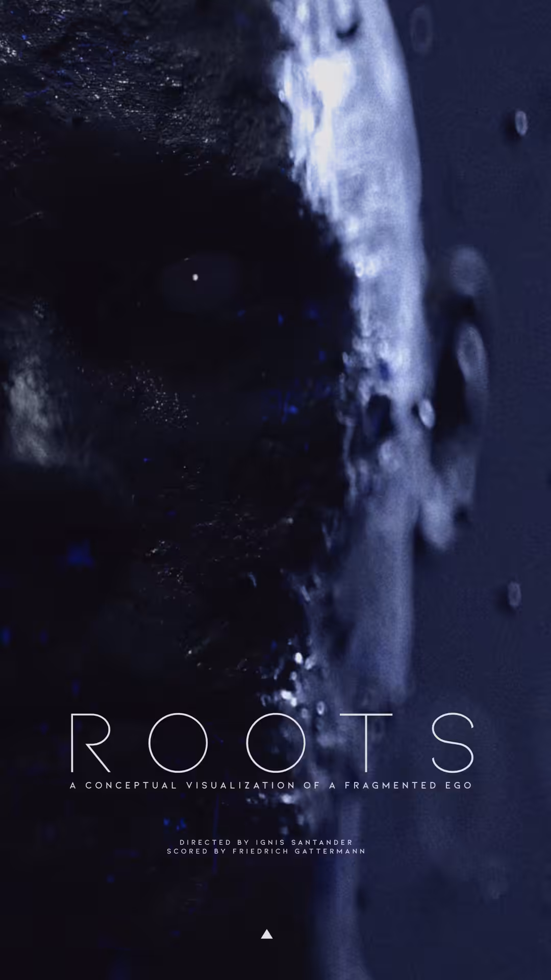 /ROOTS