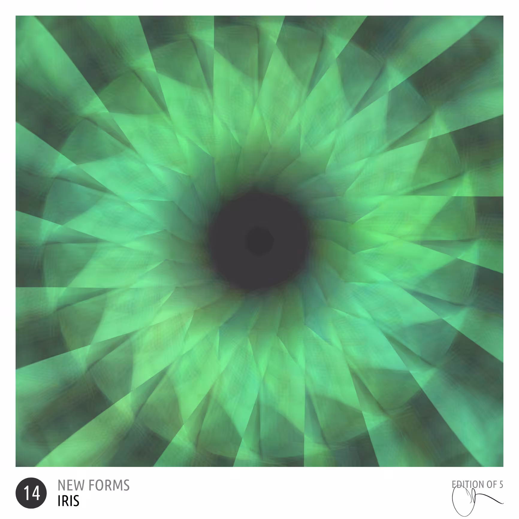 new forms 14 : iris